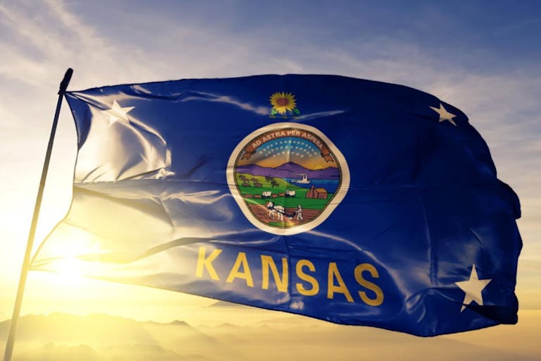 Image shows Kansas state flag.