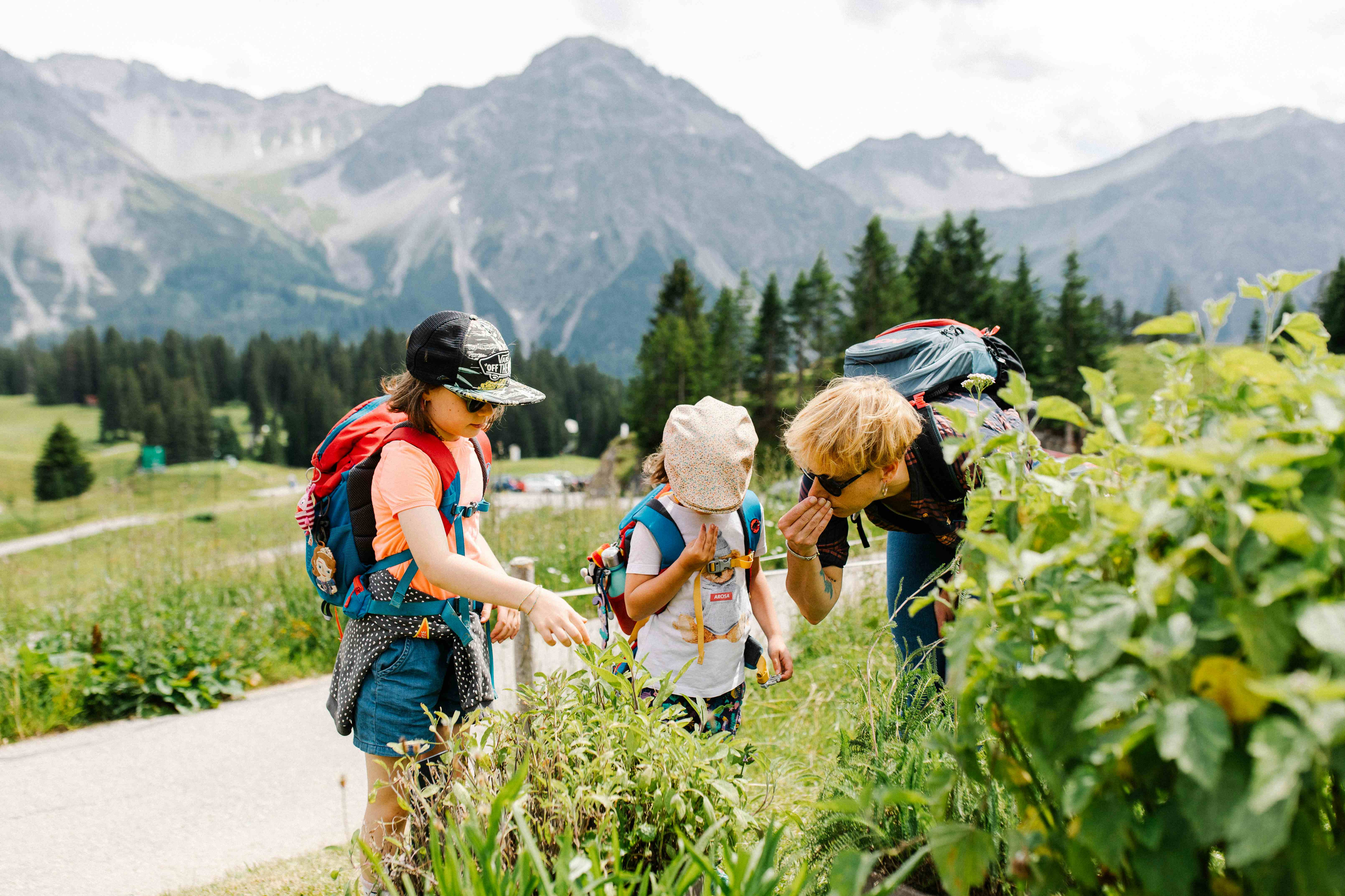 Arosa adventure trail