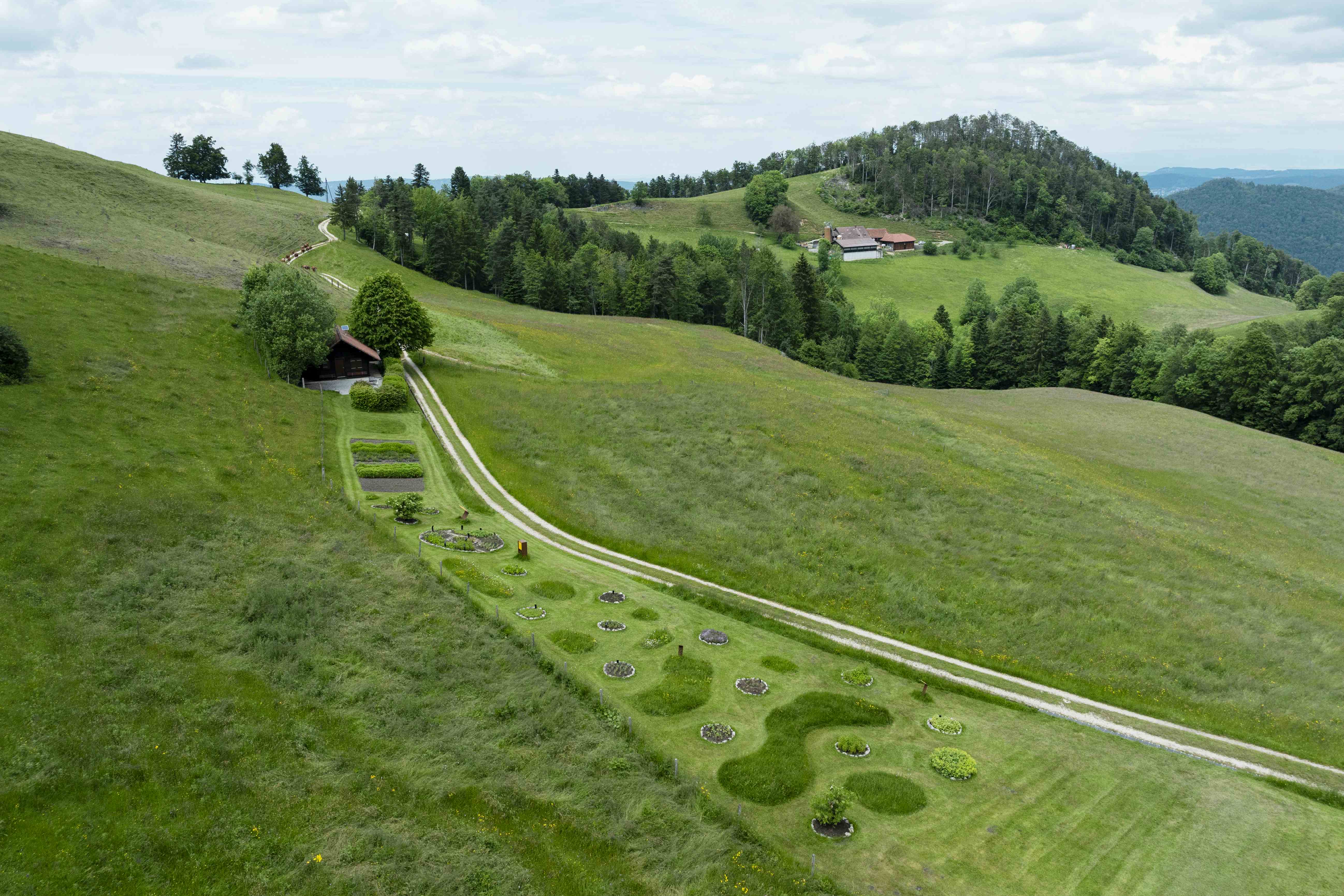 Herb Garden Trogberg