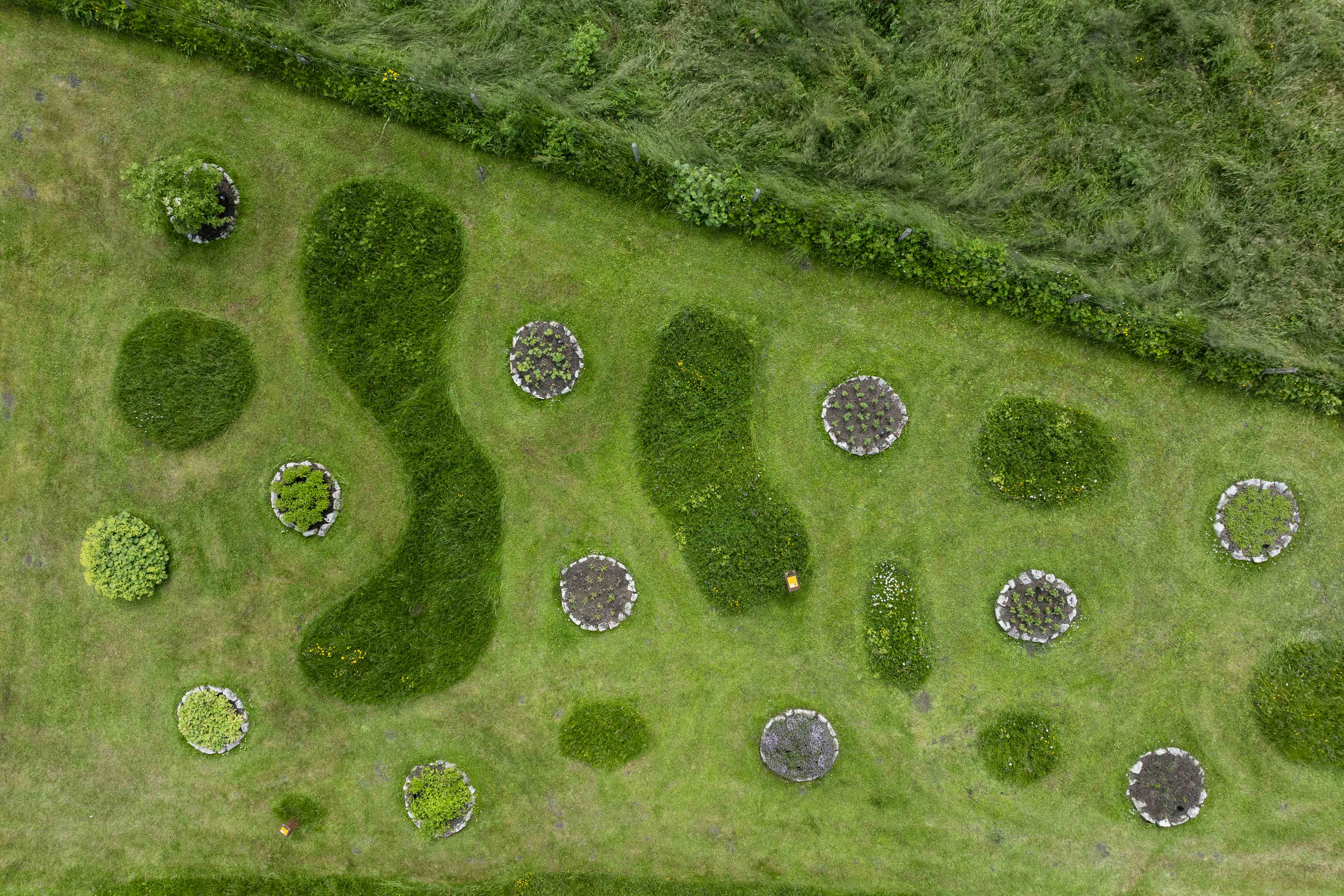 Herb Garden Trogberg