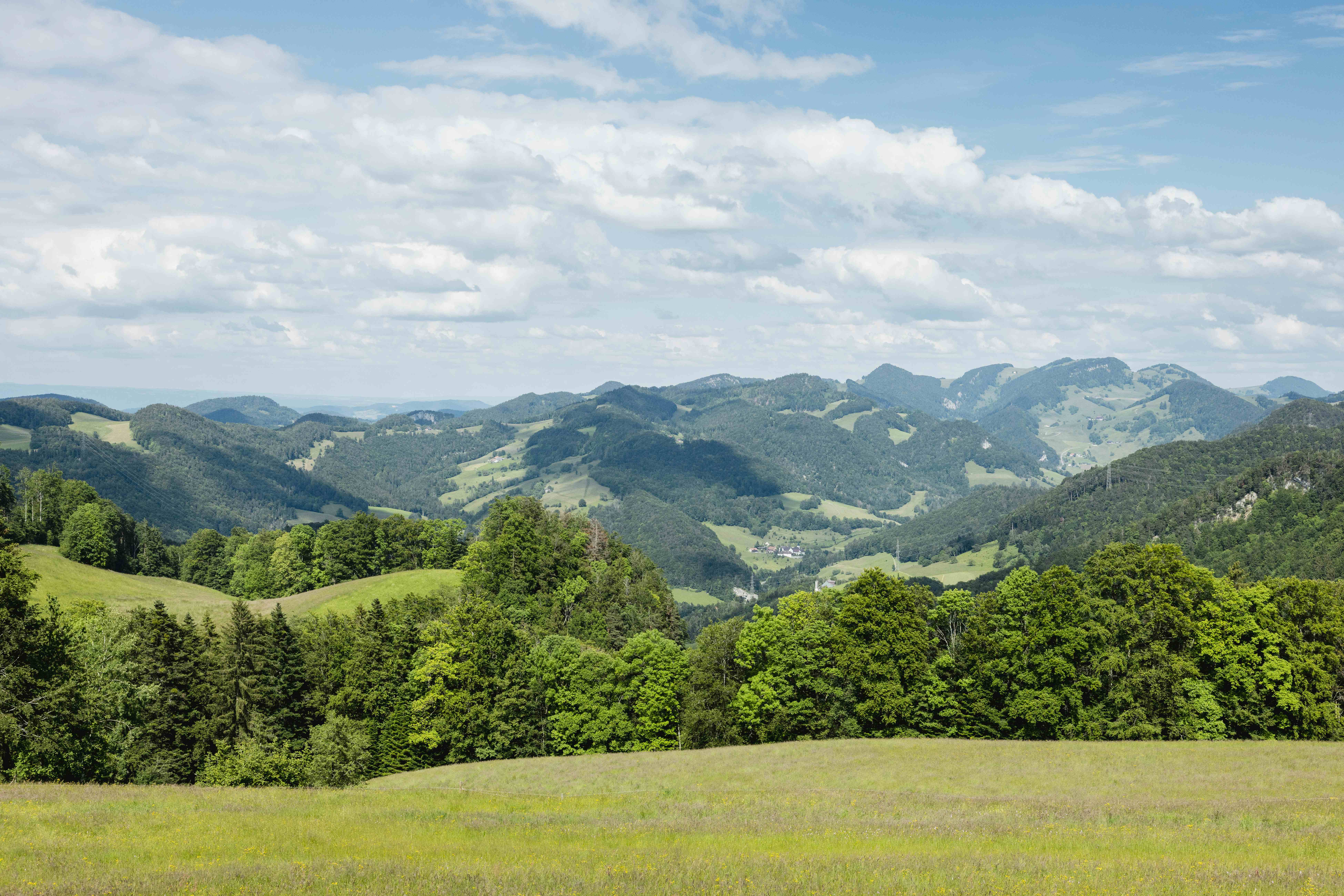 Herb Garden Trogberg