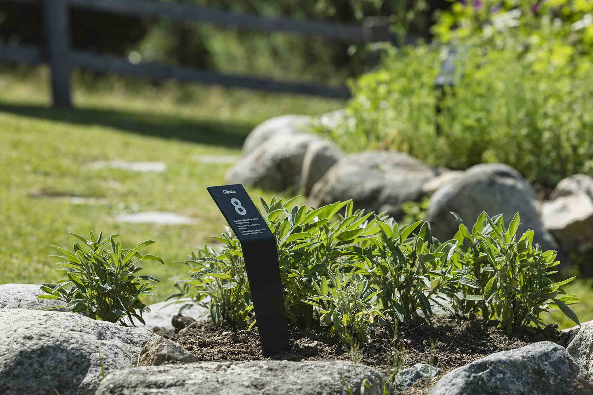 Kräutergarten Pontresina