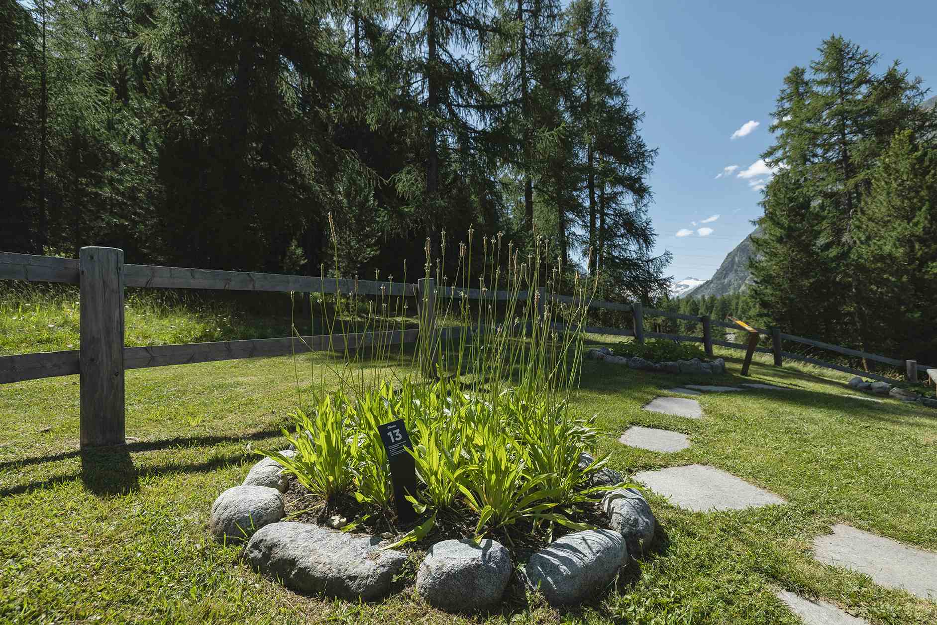 Kräutergarten Pontresina