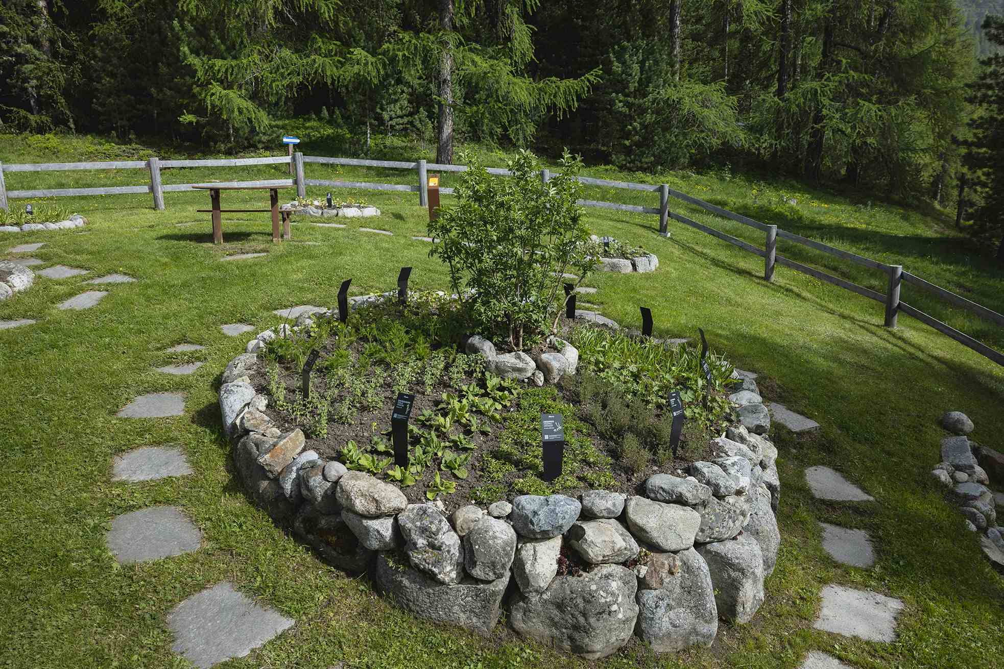 Kräutergarten Pontresina