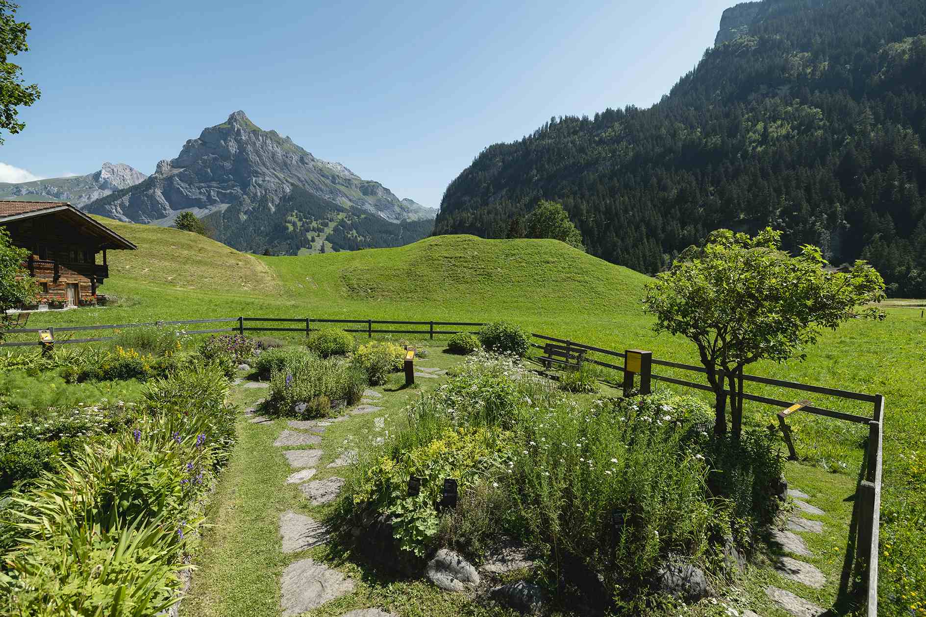 Herb Garden Kandersteg