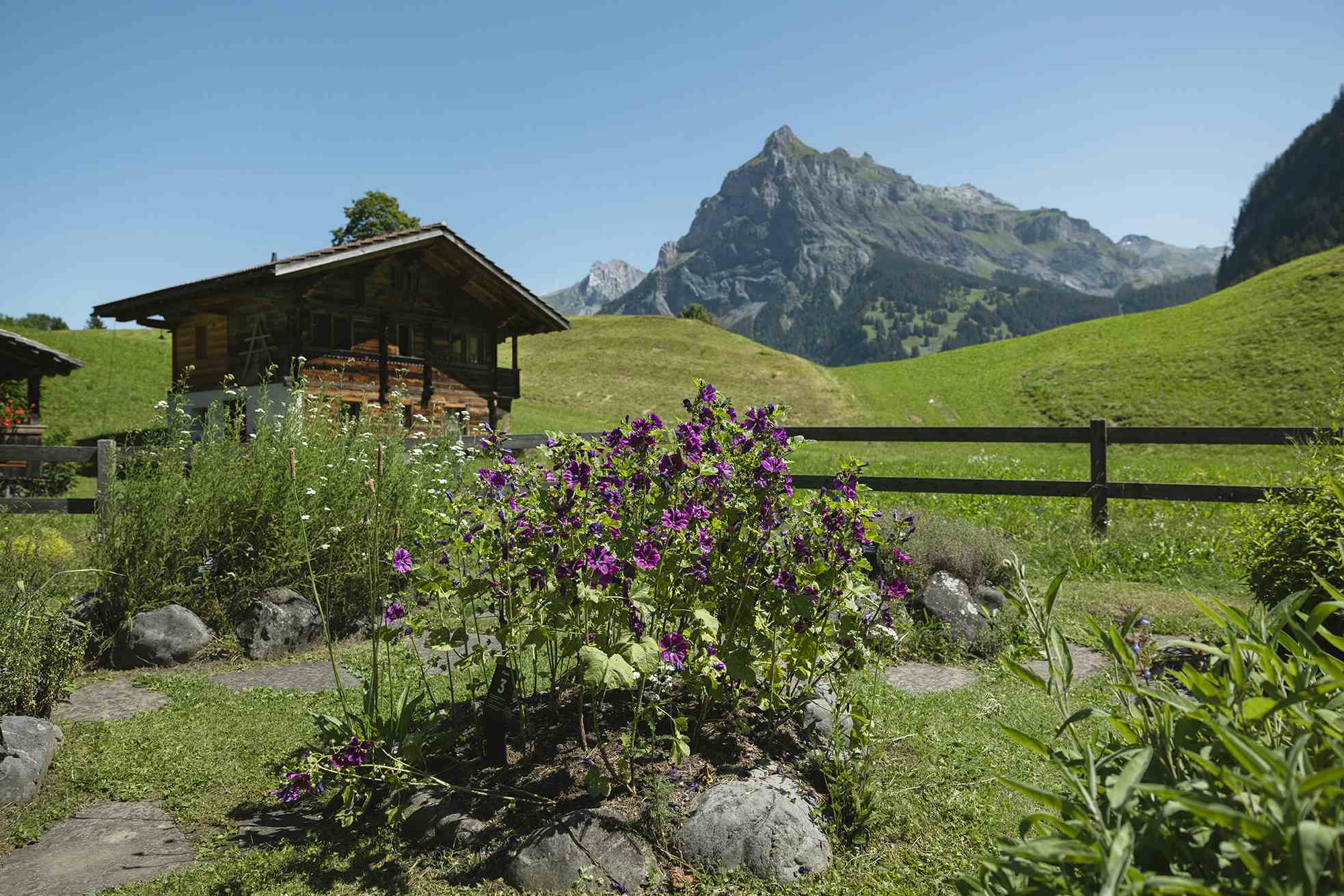 Ricola Kräutergarten Kandersteg