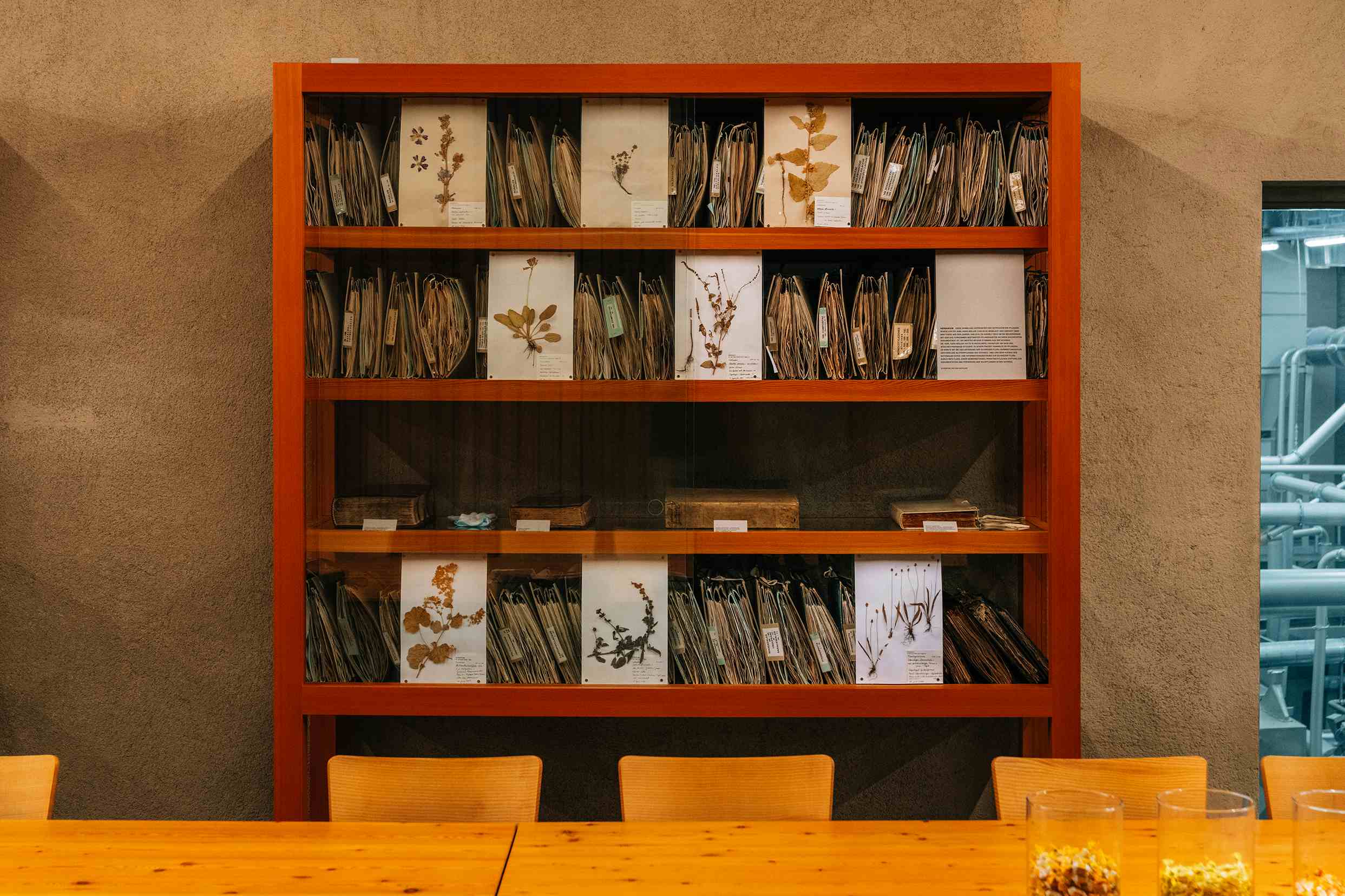 Kräuterzentrum Interieur