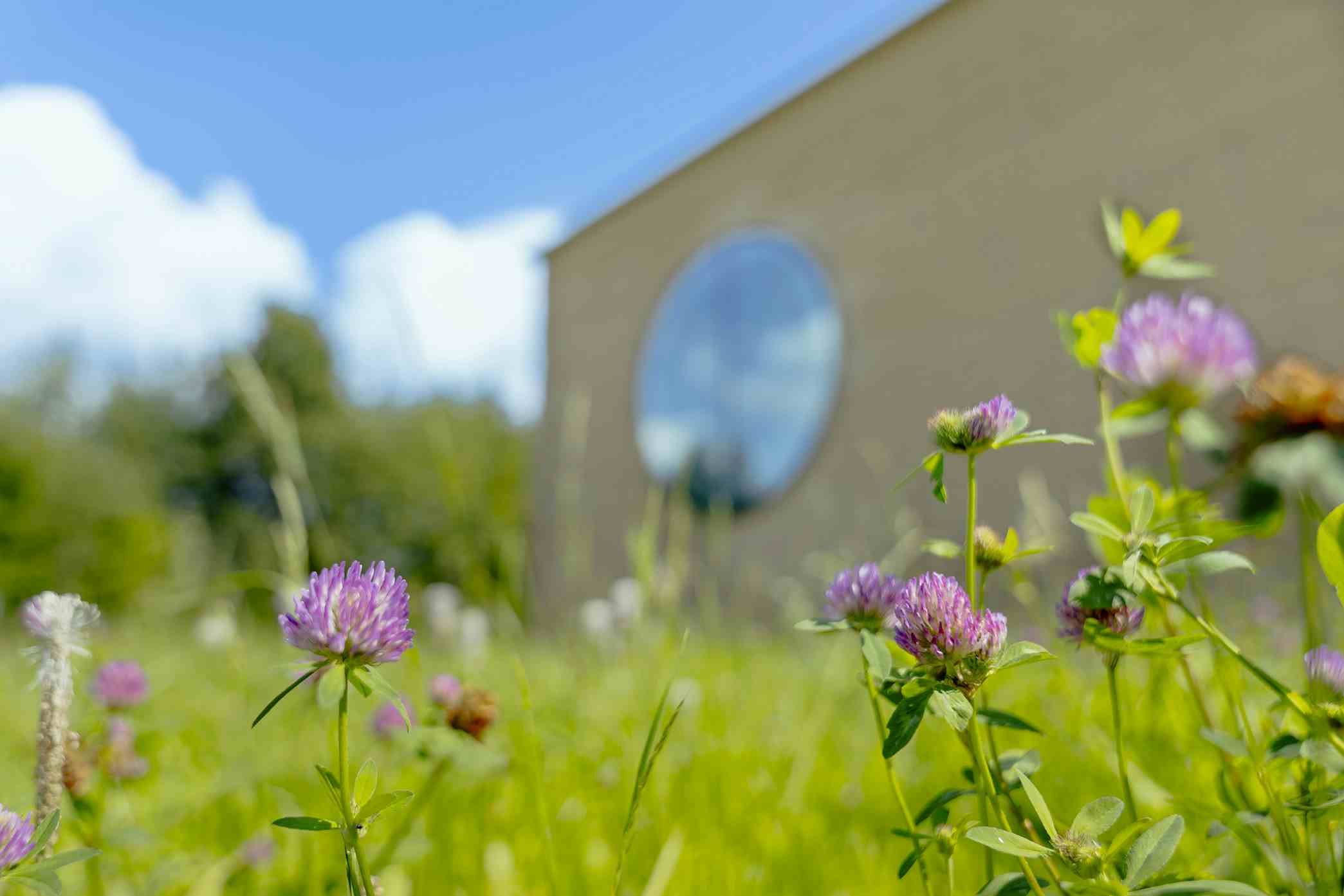 Herb Center Exterior