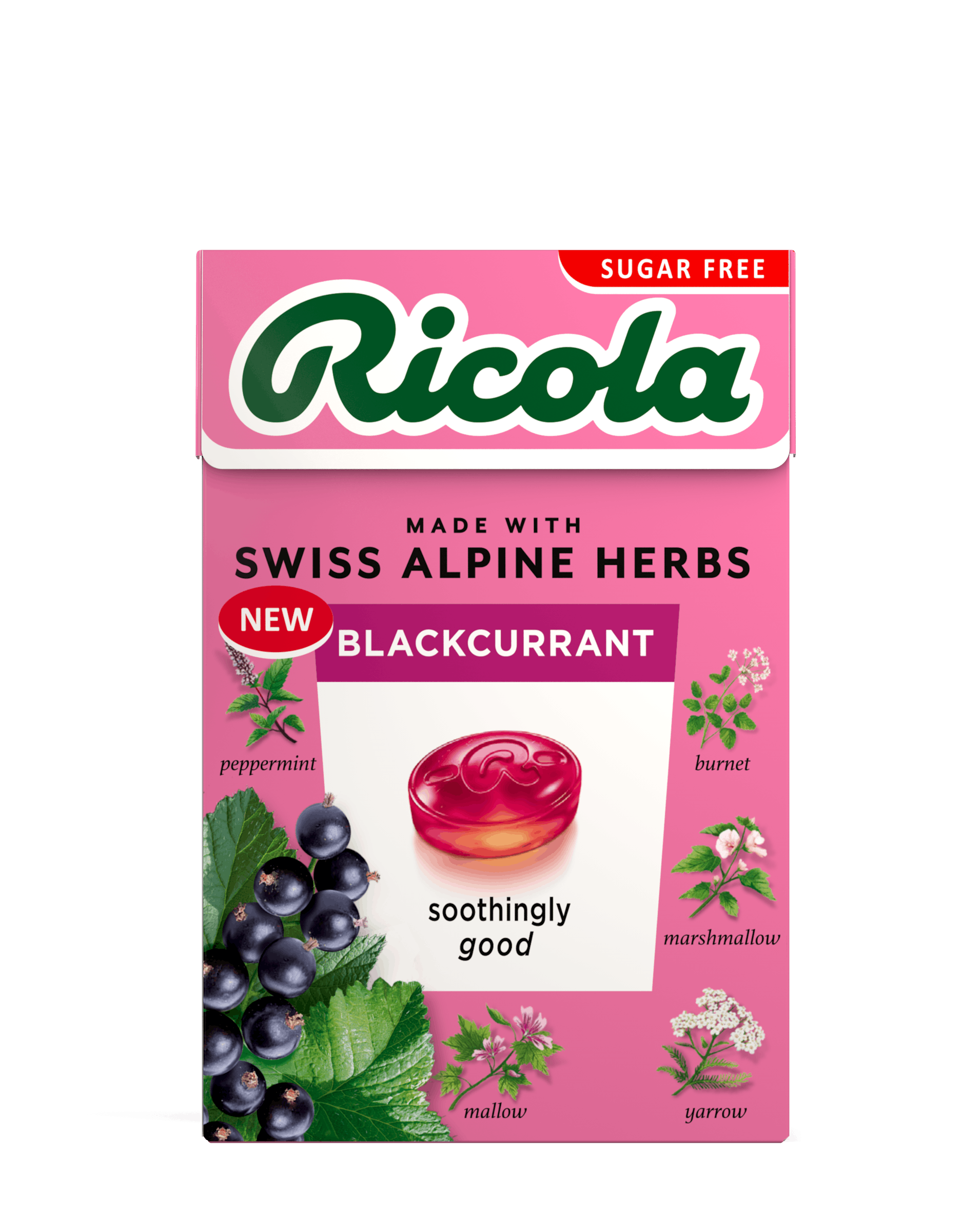 Box of Blackcurrant flavour drops