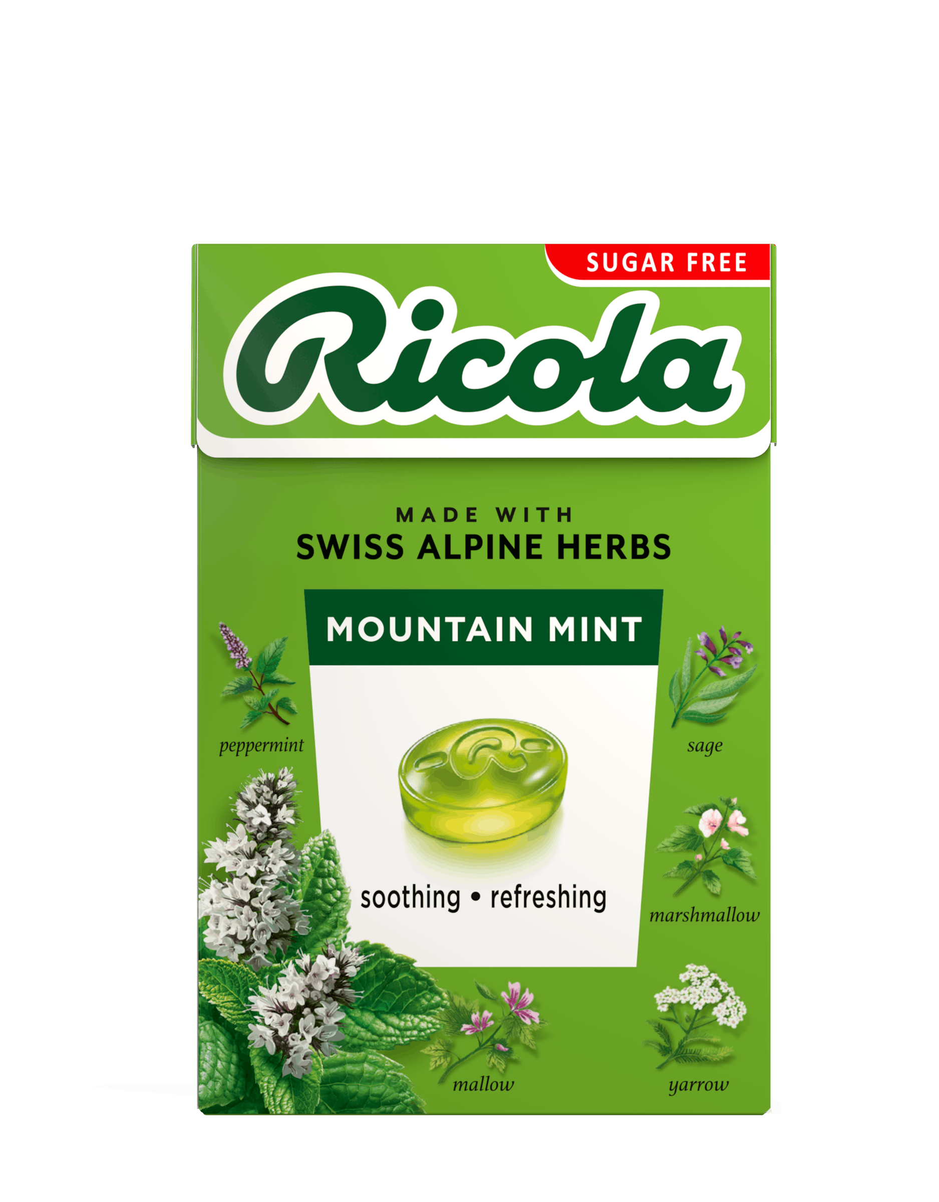 Mountain Mint Drops Box