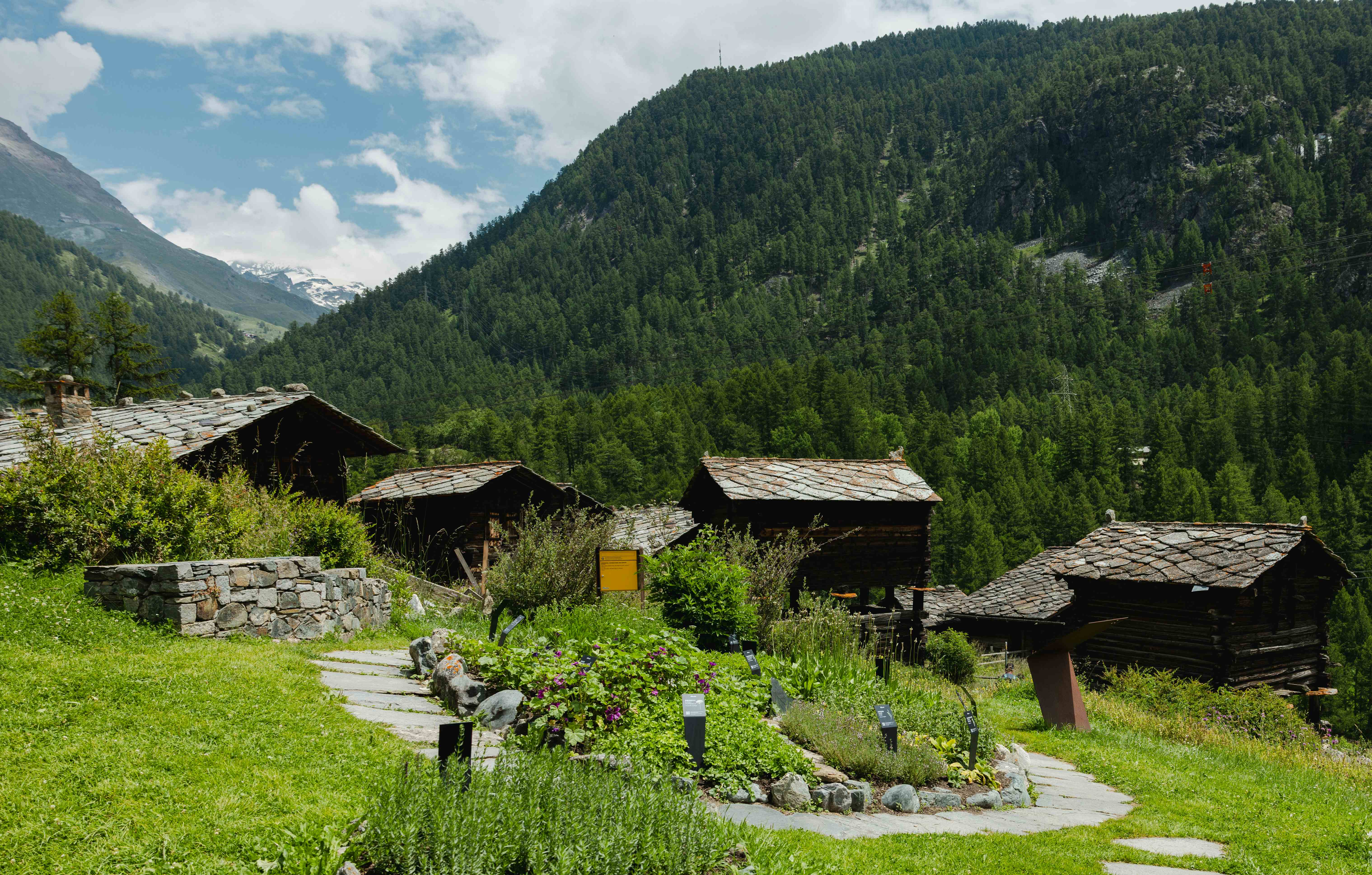 Herb Garden Zermatt