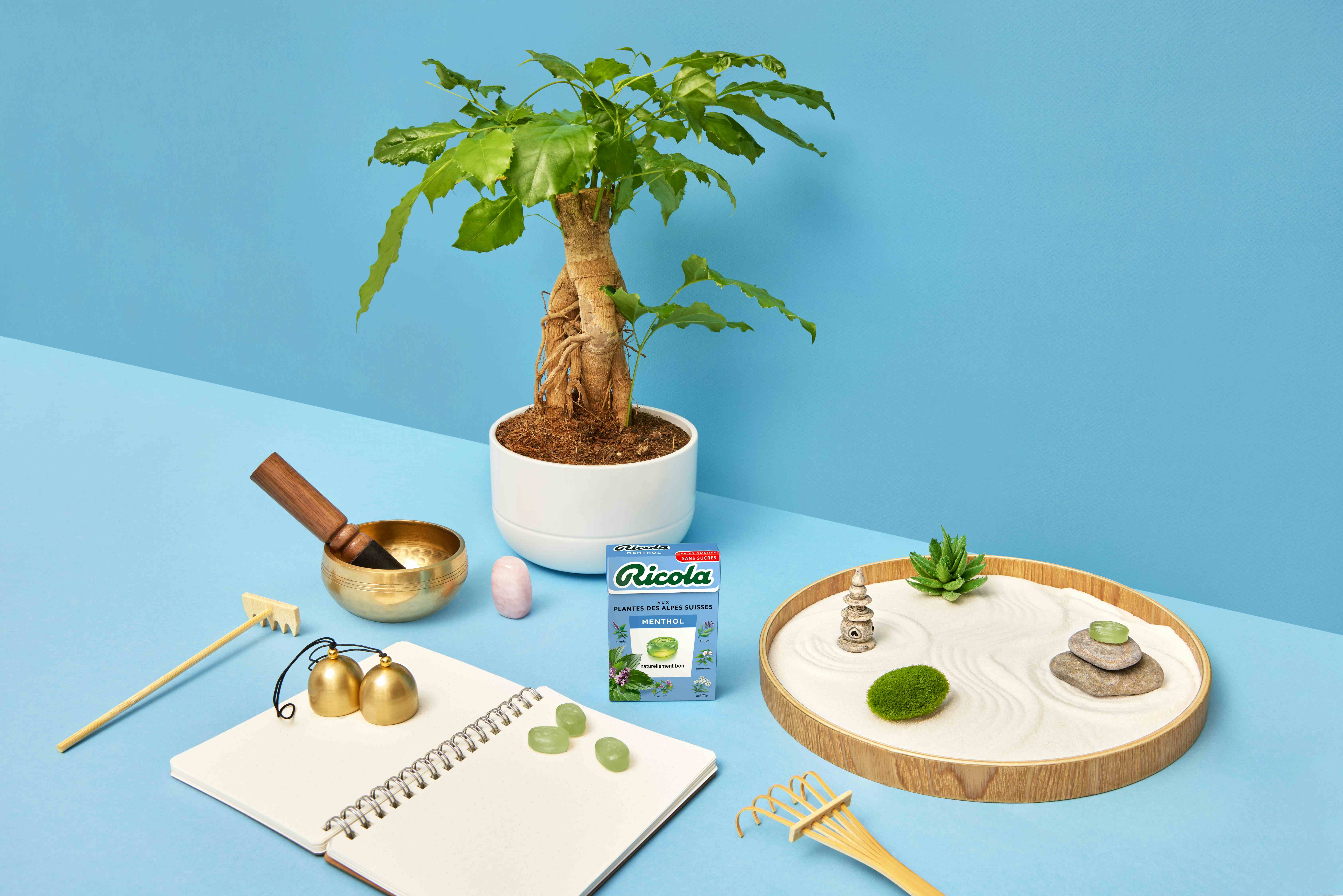 Box of Menthol flavor drops