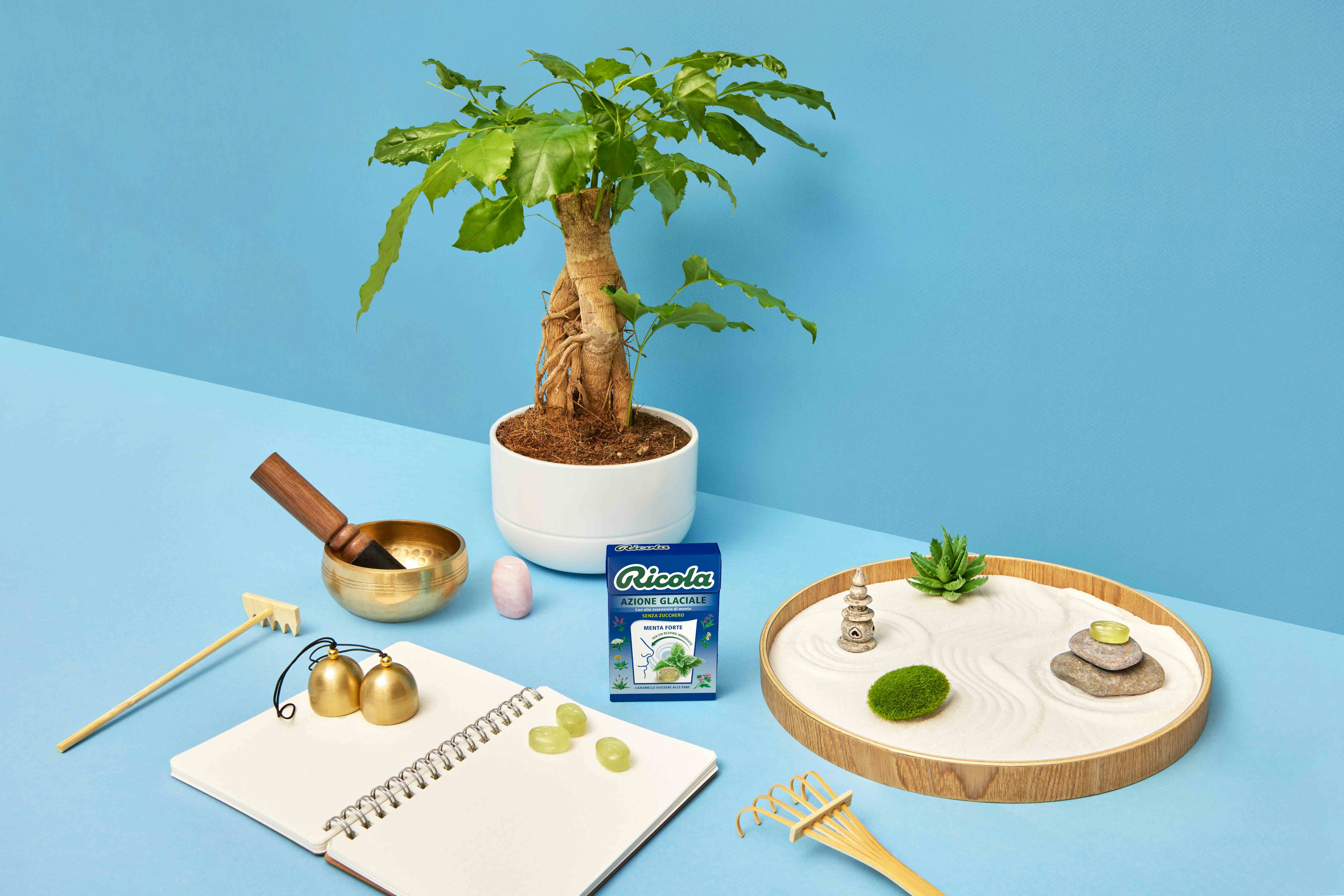 Scatola di gocce al gusto di Menta Forte