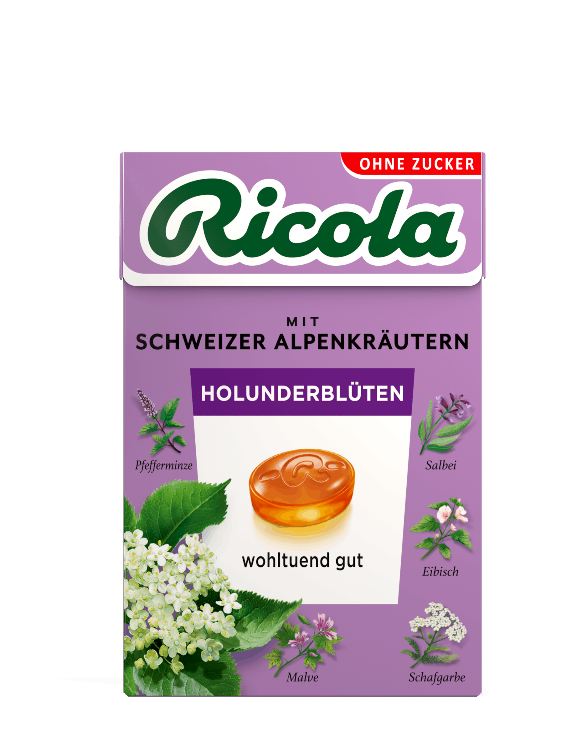 Schachtel mit Holunderblüten