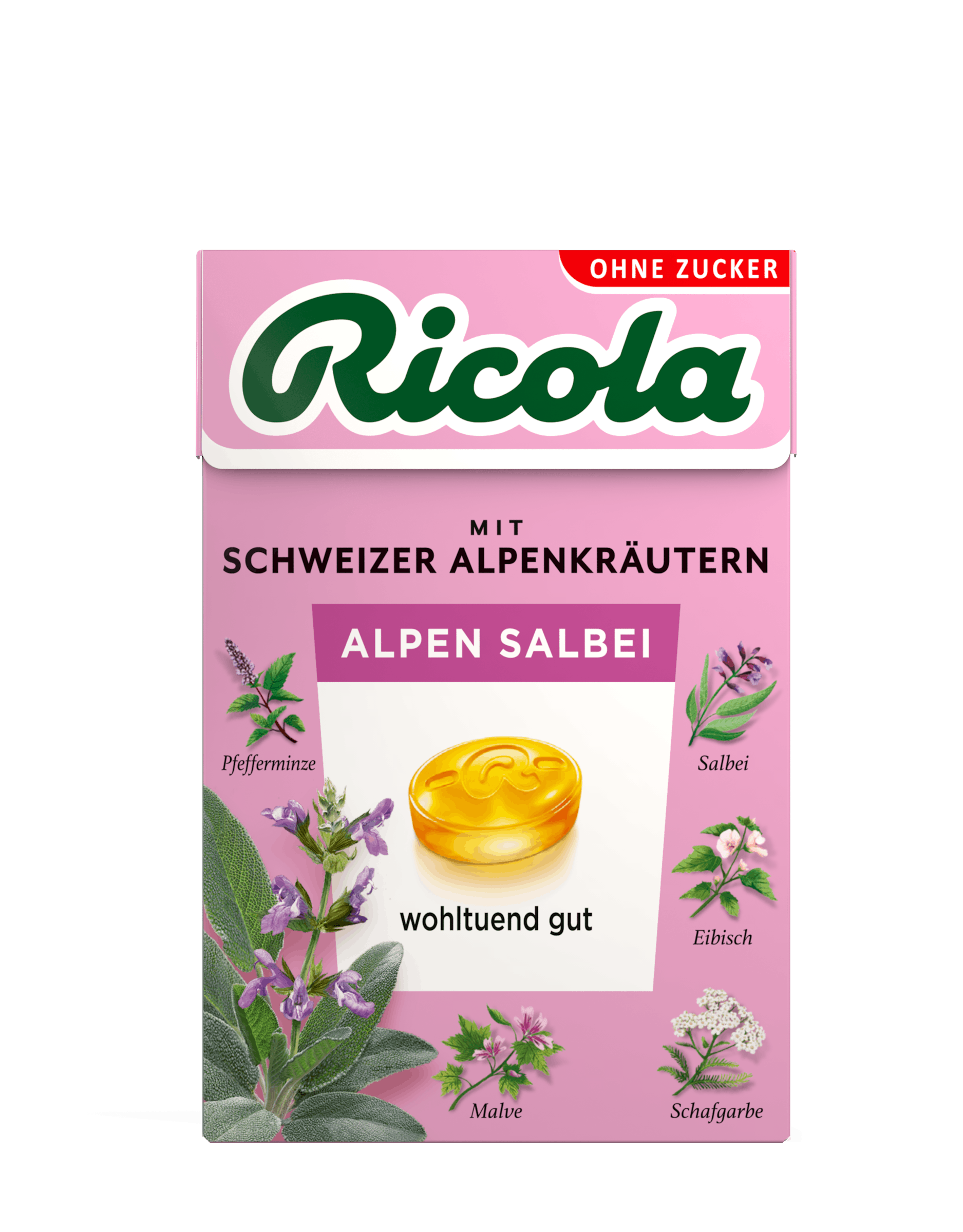 Schachtel Salbei