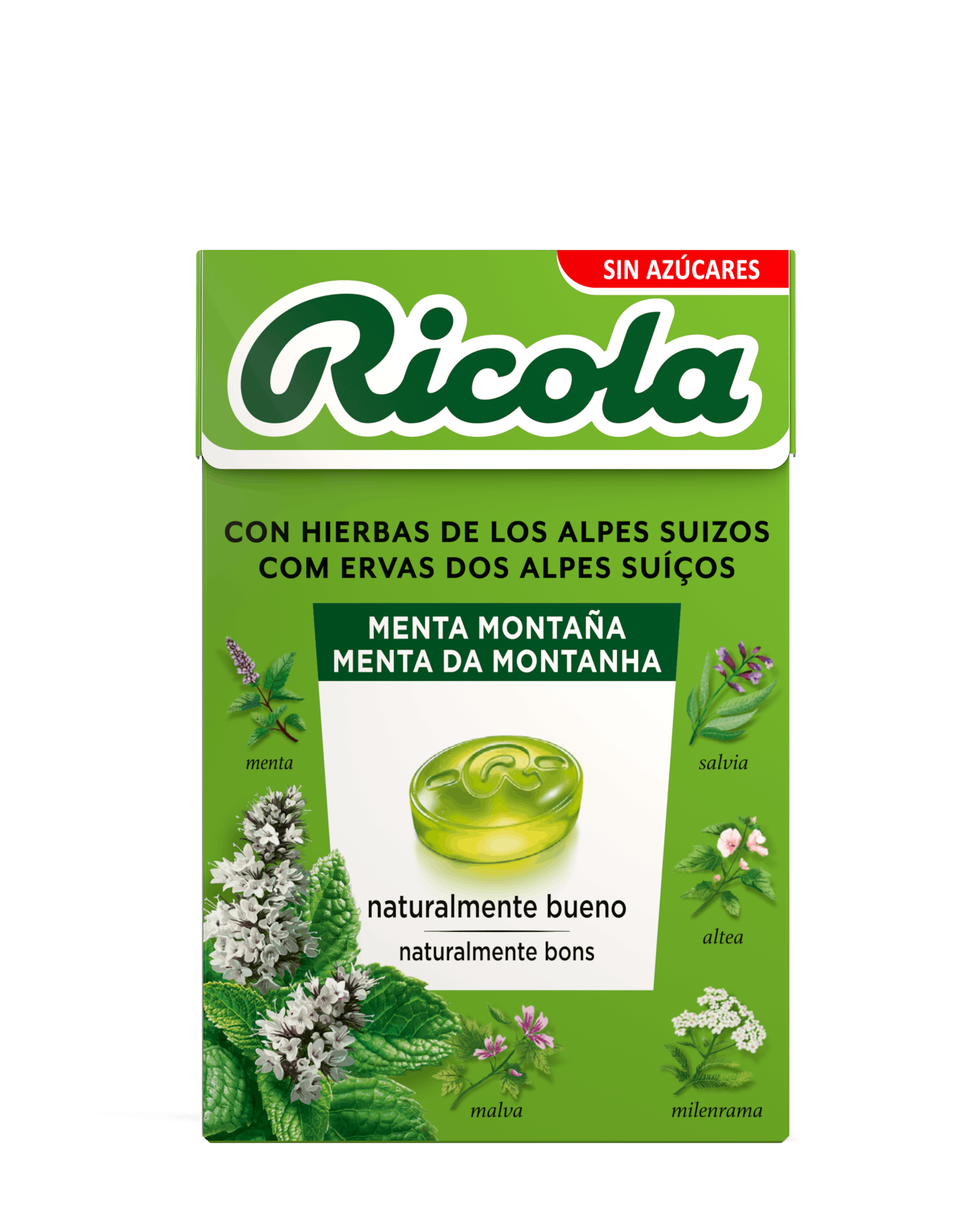 Caja de menta de montaña