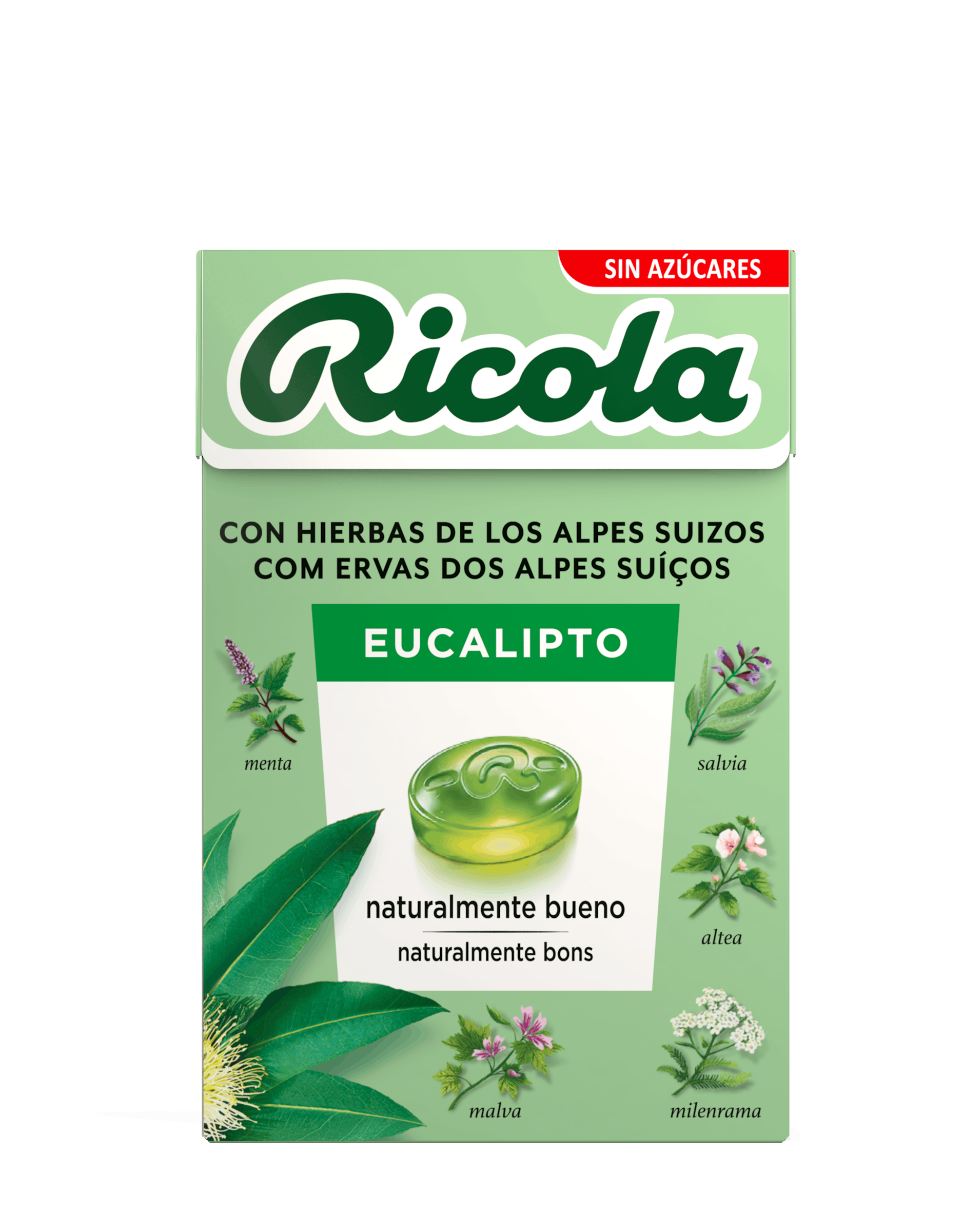 Caja de Eucalipto