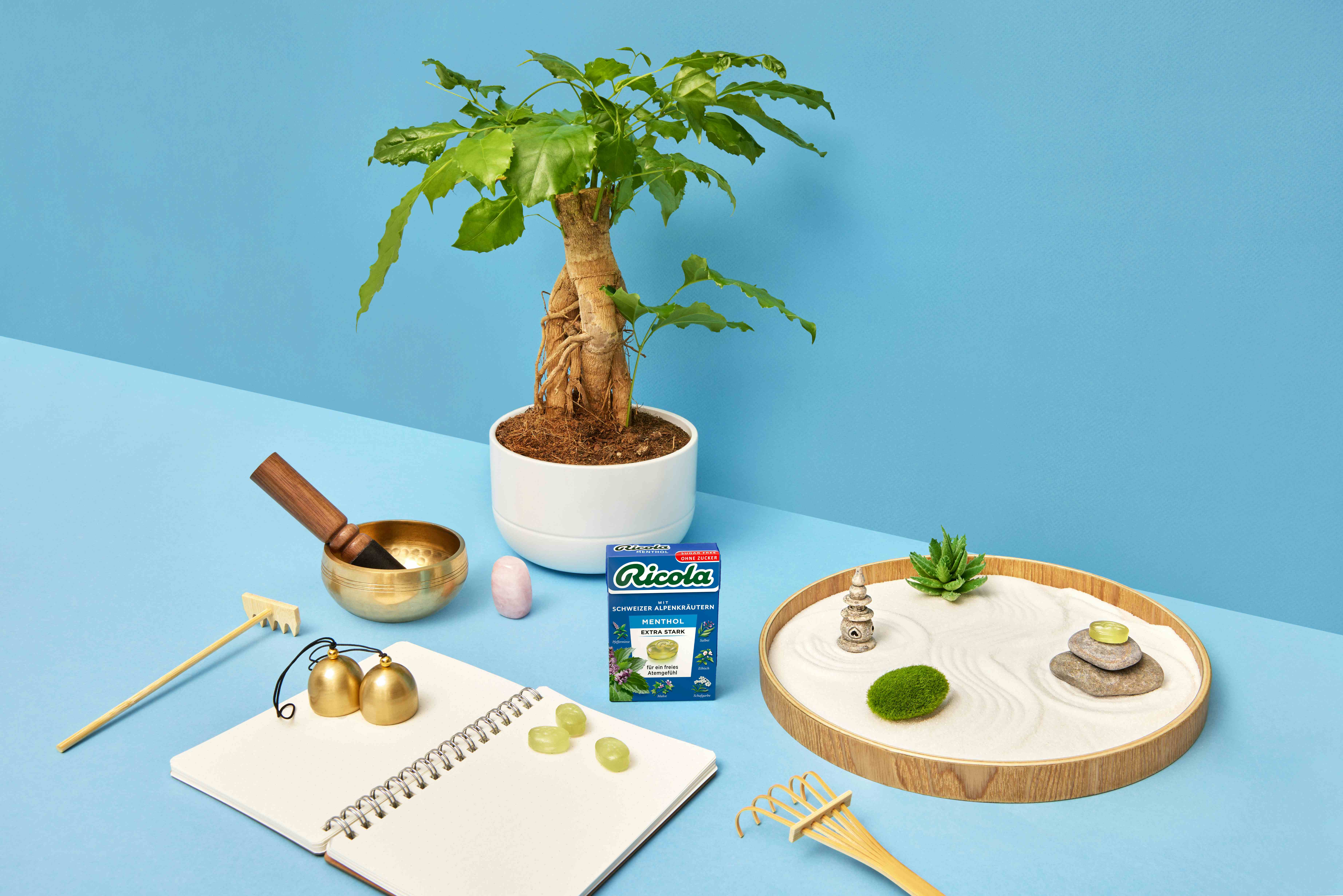 Schachtel mit Active Air Menthol Intense