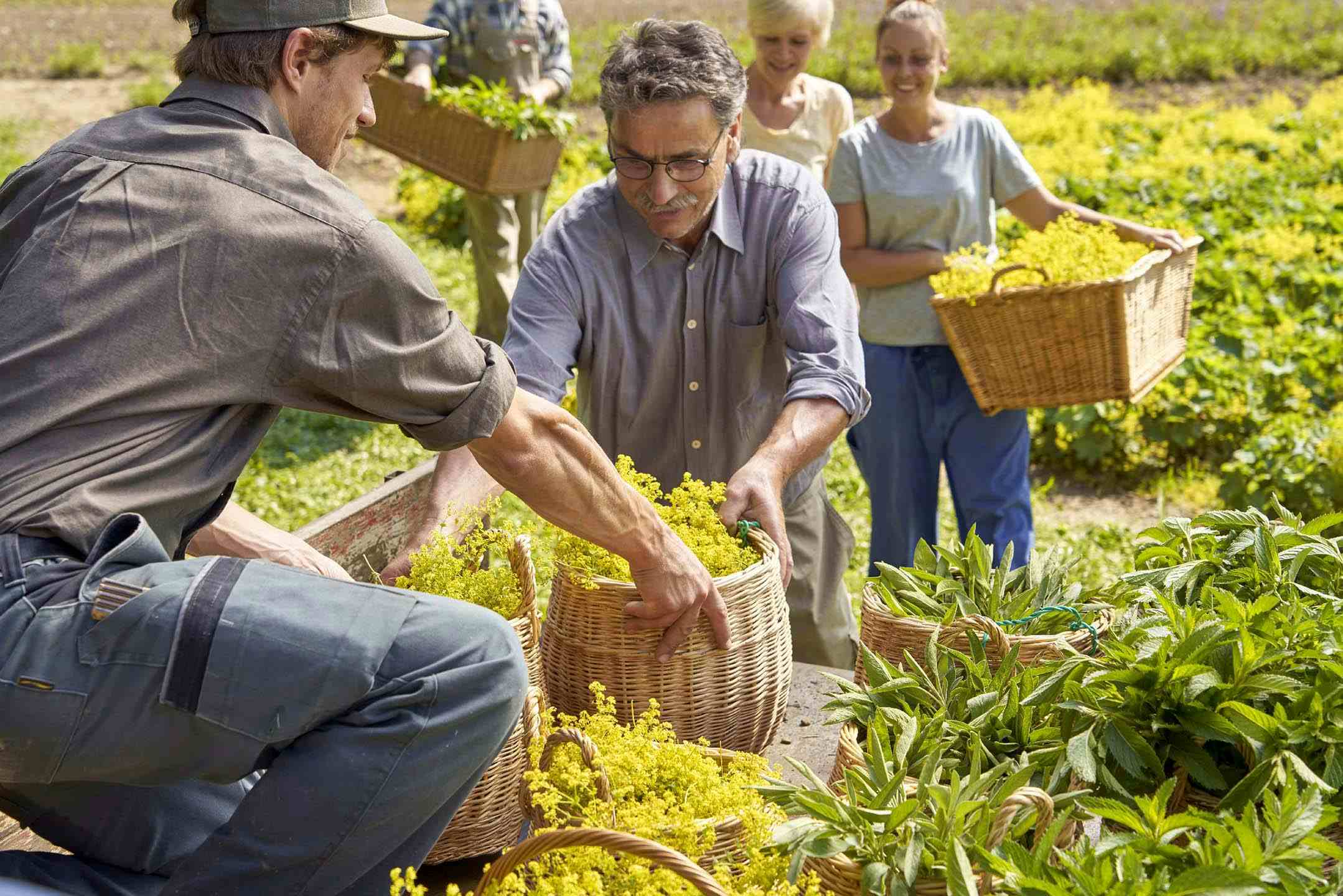 Ricola gewinnt Deutschlands besten Nachhaltigkeitspreis