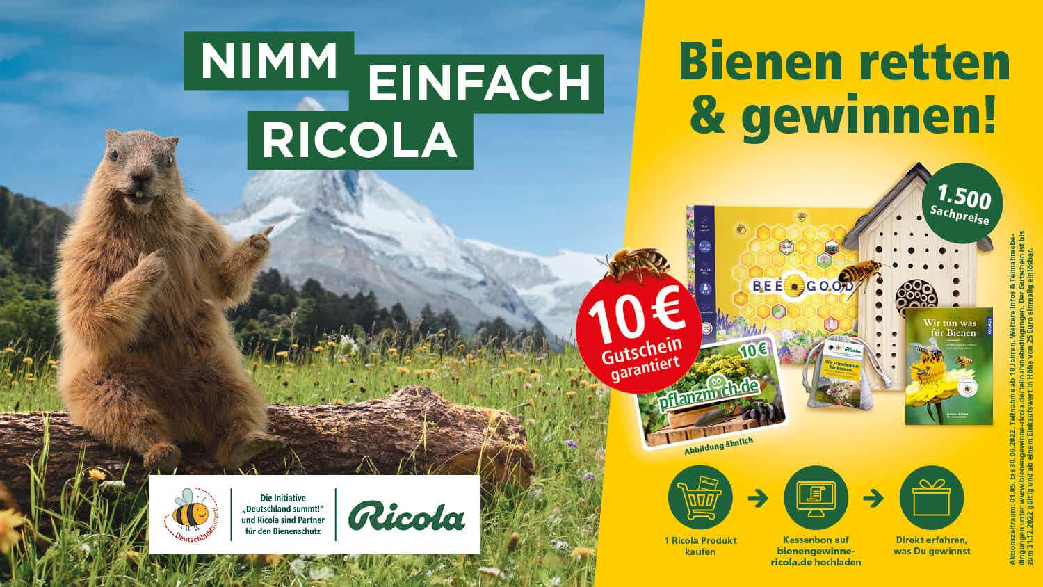 Bienen gewinnen Promotion
