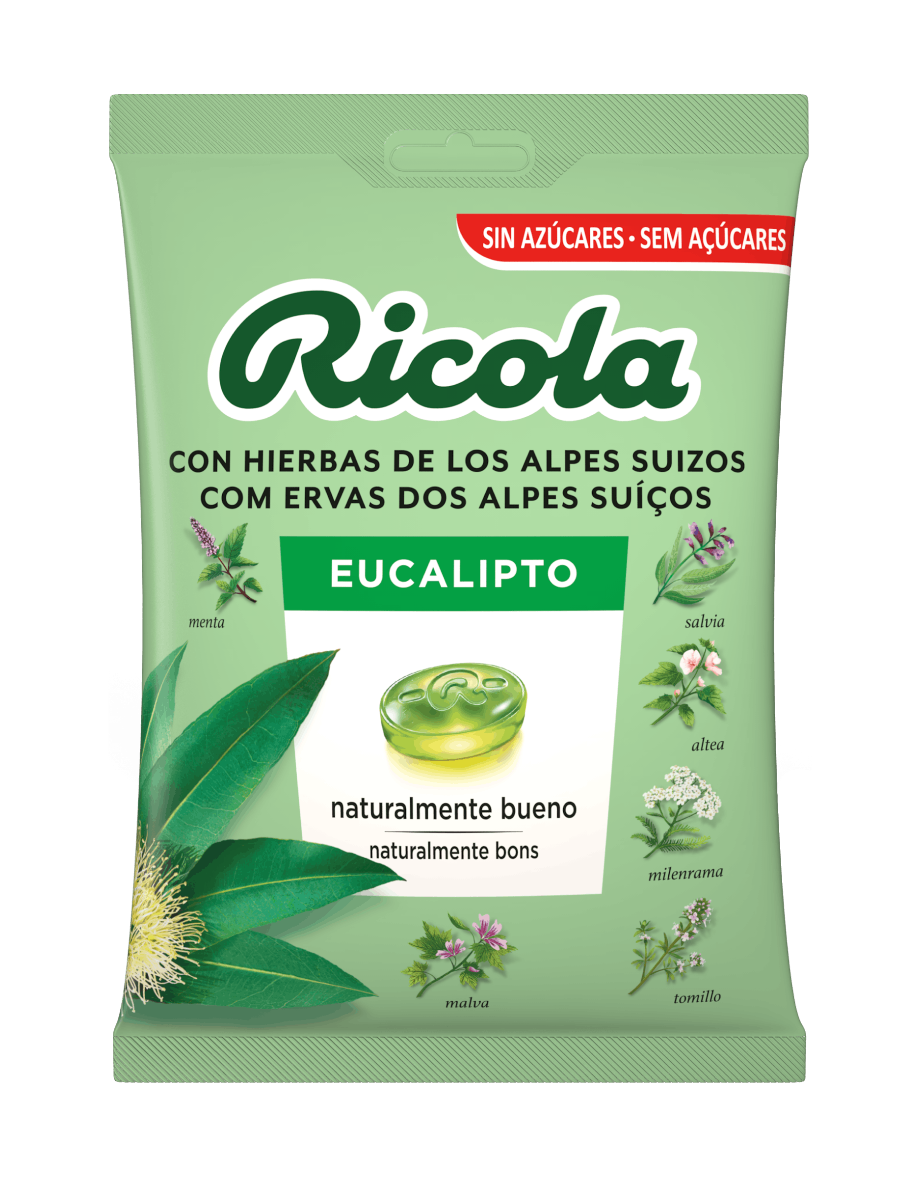 Bolsa de Eucalipto
