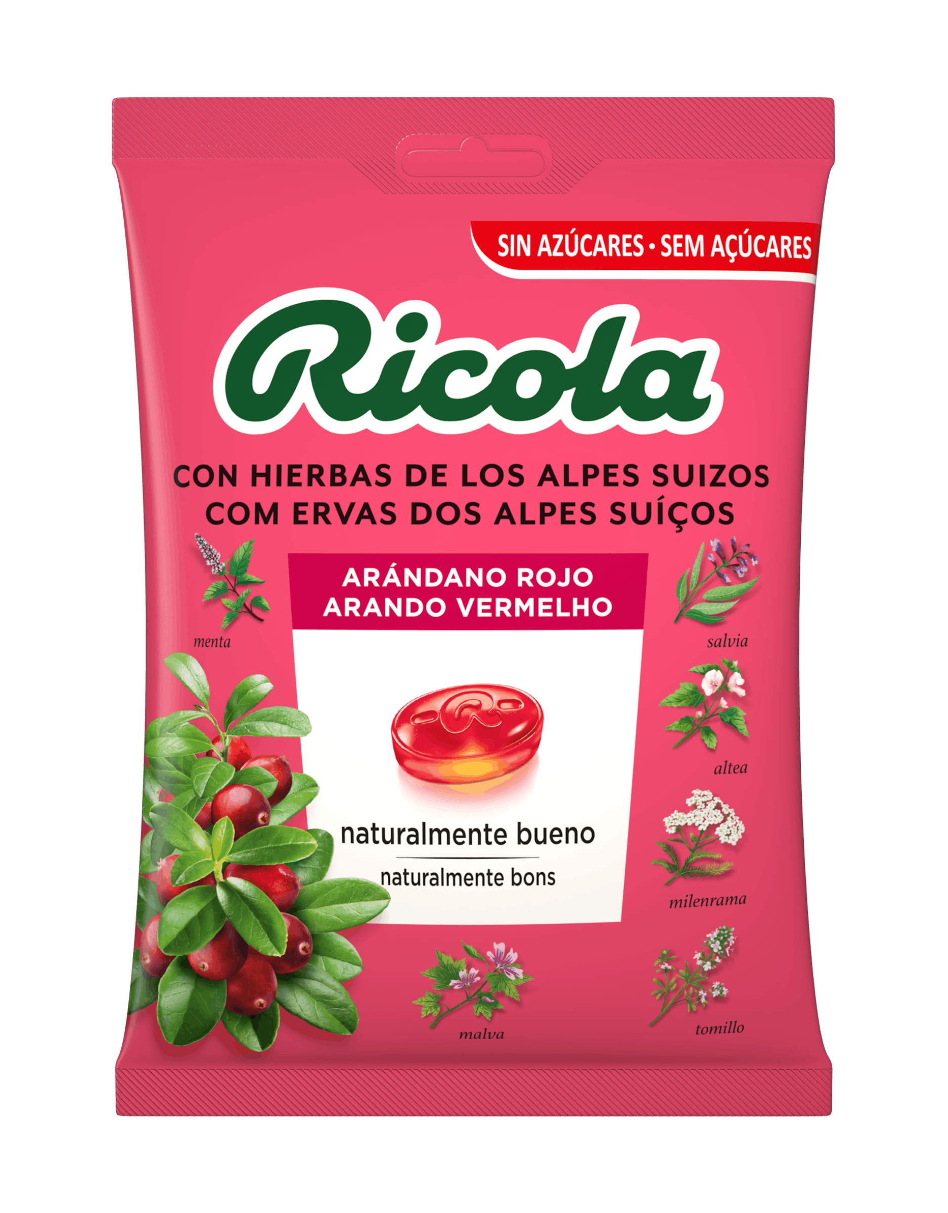 Bolsa de arándanos