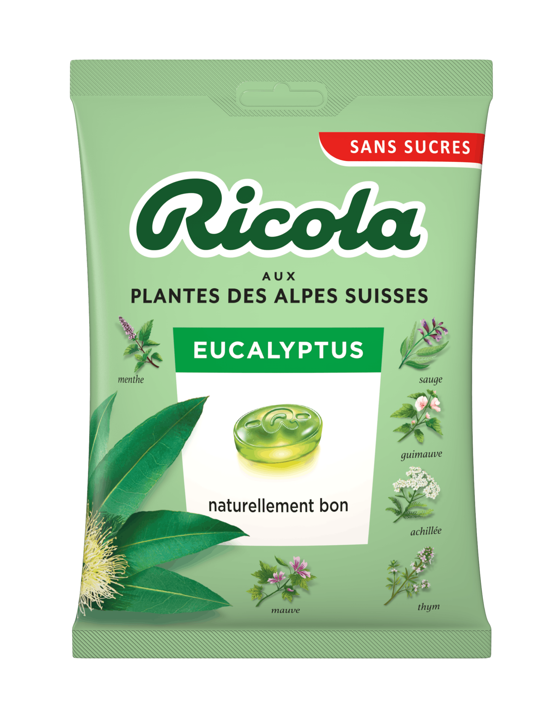 Sac d'Eucalyptus