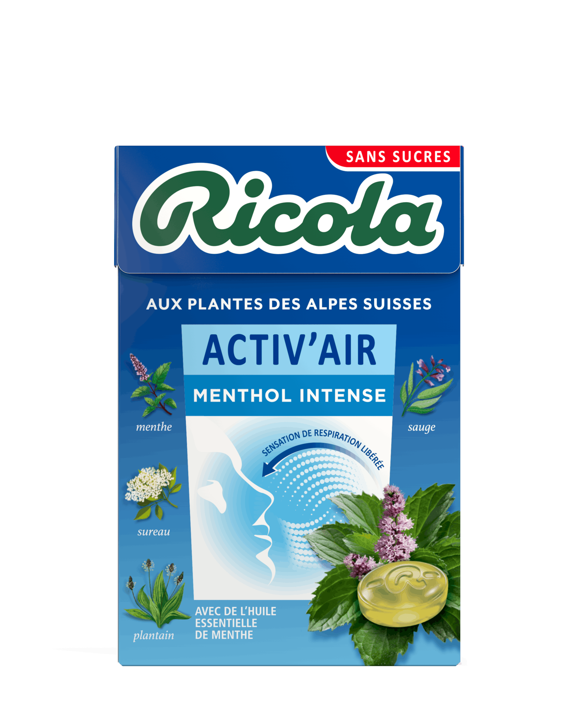 Boîte de Menthol Glacé