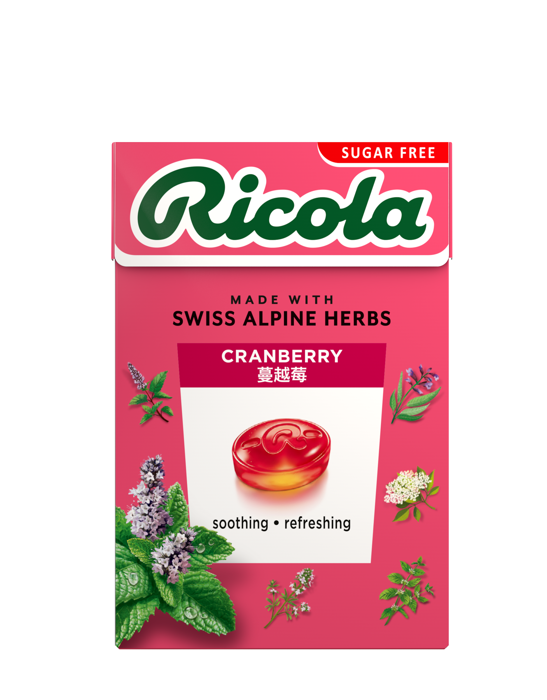 Ricoプロフ必須 Ricoプロフ必須 Ricoプロフ必須 プロフ必読必ずお願い致します！！！様