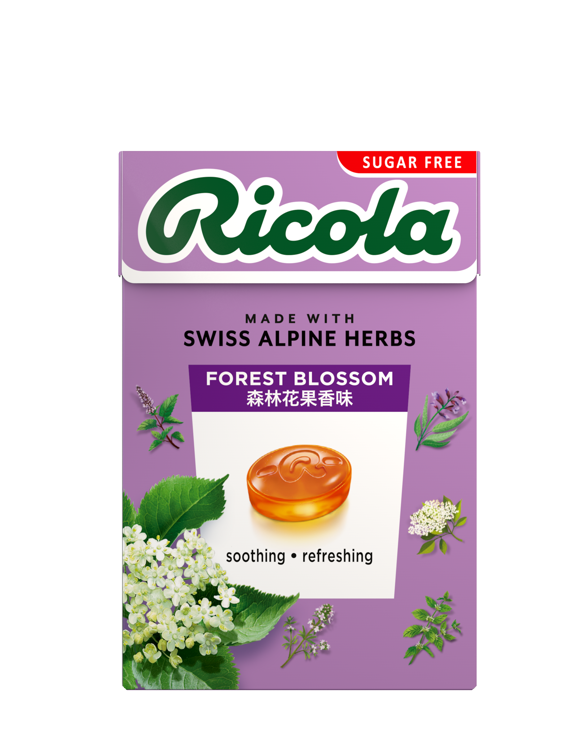 Ricoプロフ必須 Ricoプロフ必須 Ricoプロフ必須 プロフ必読必ずお願い致します！！！様