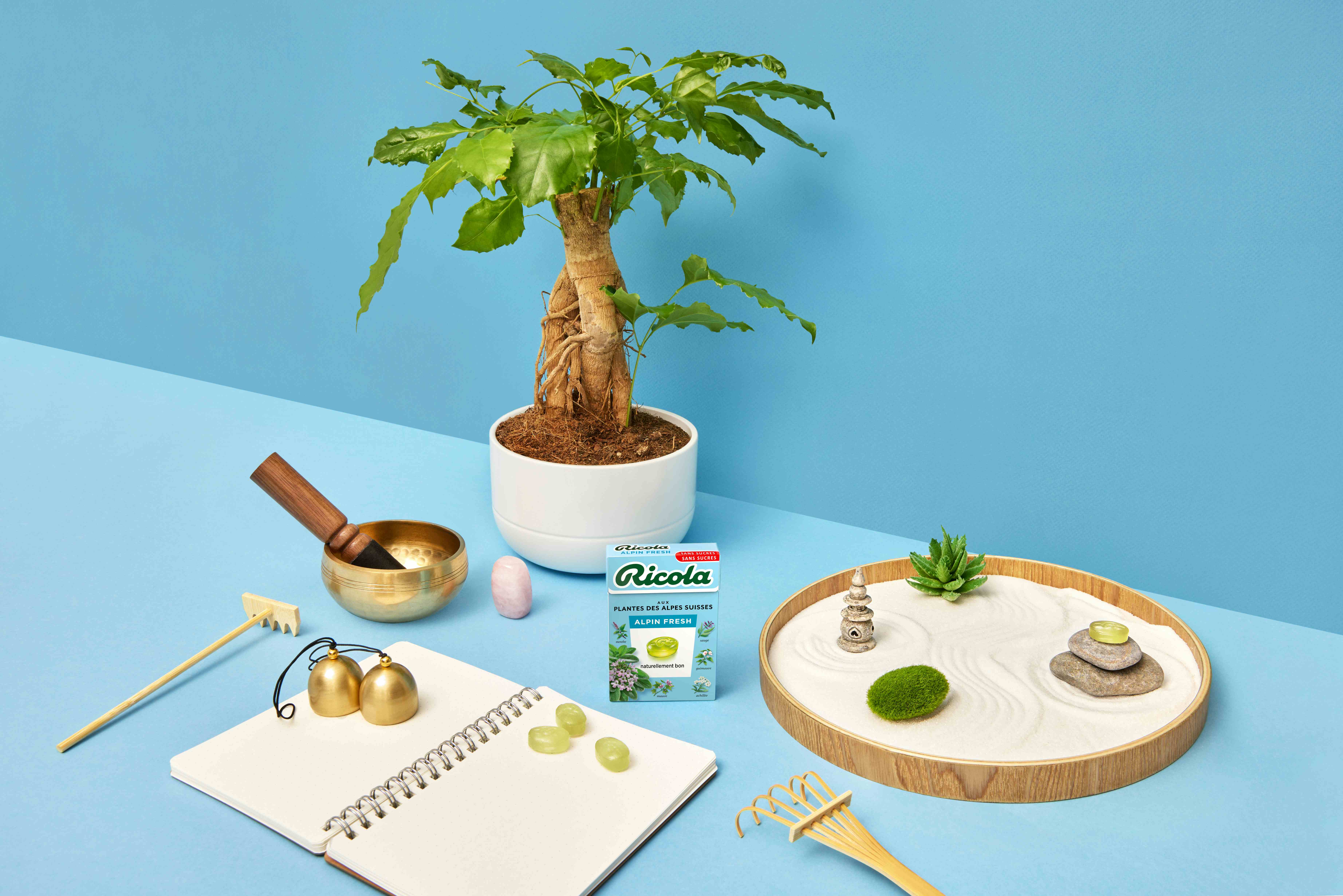 Boîte de fraîcheur alpine