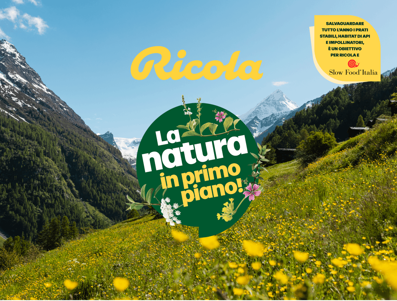 La natura in primo piano