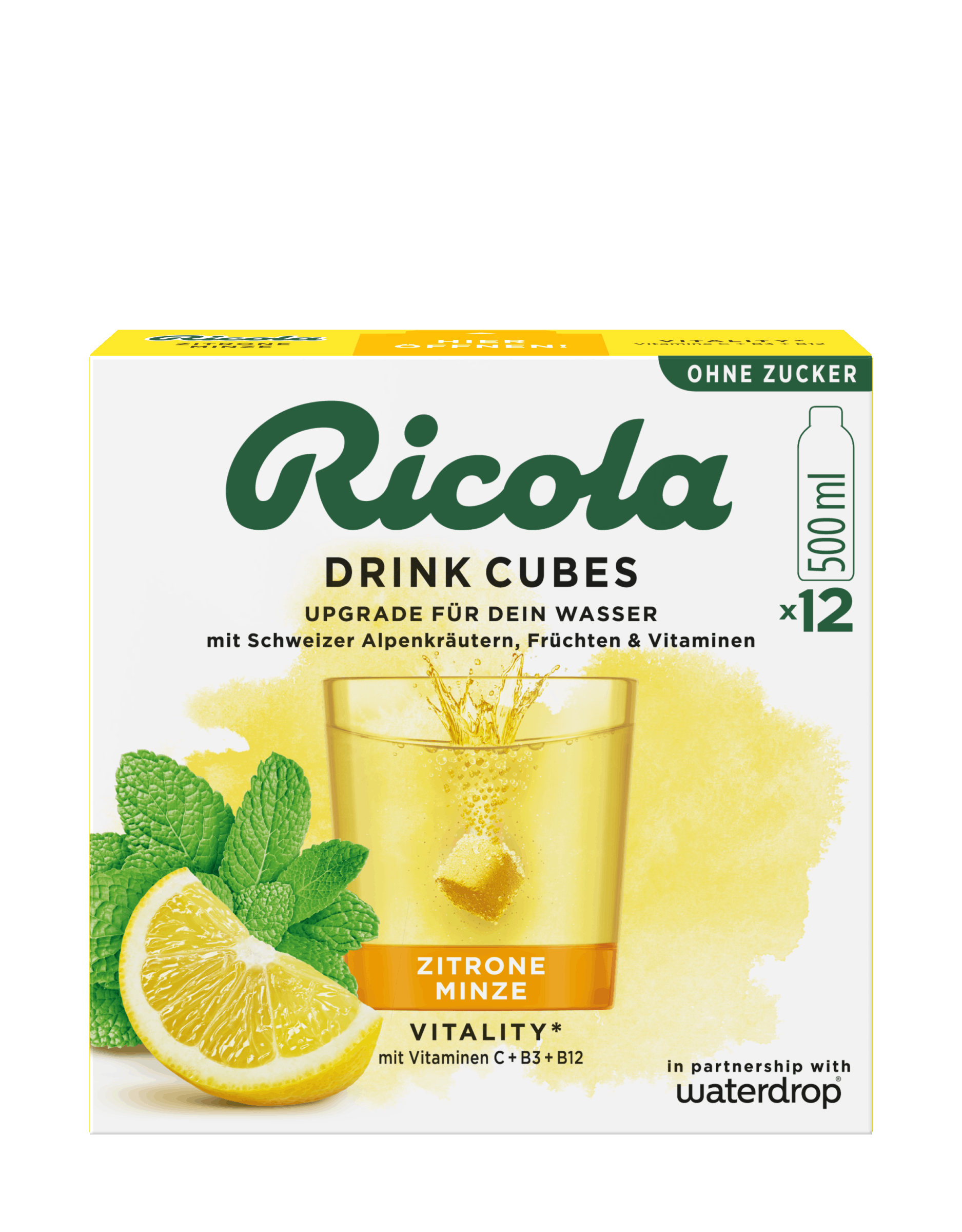 Lemon Mint Drink Cubes