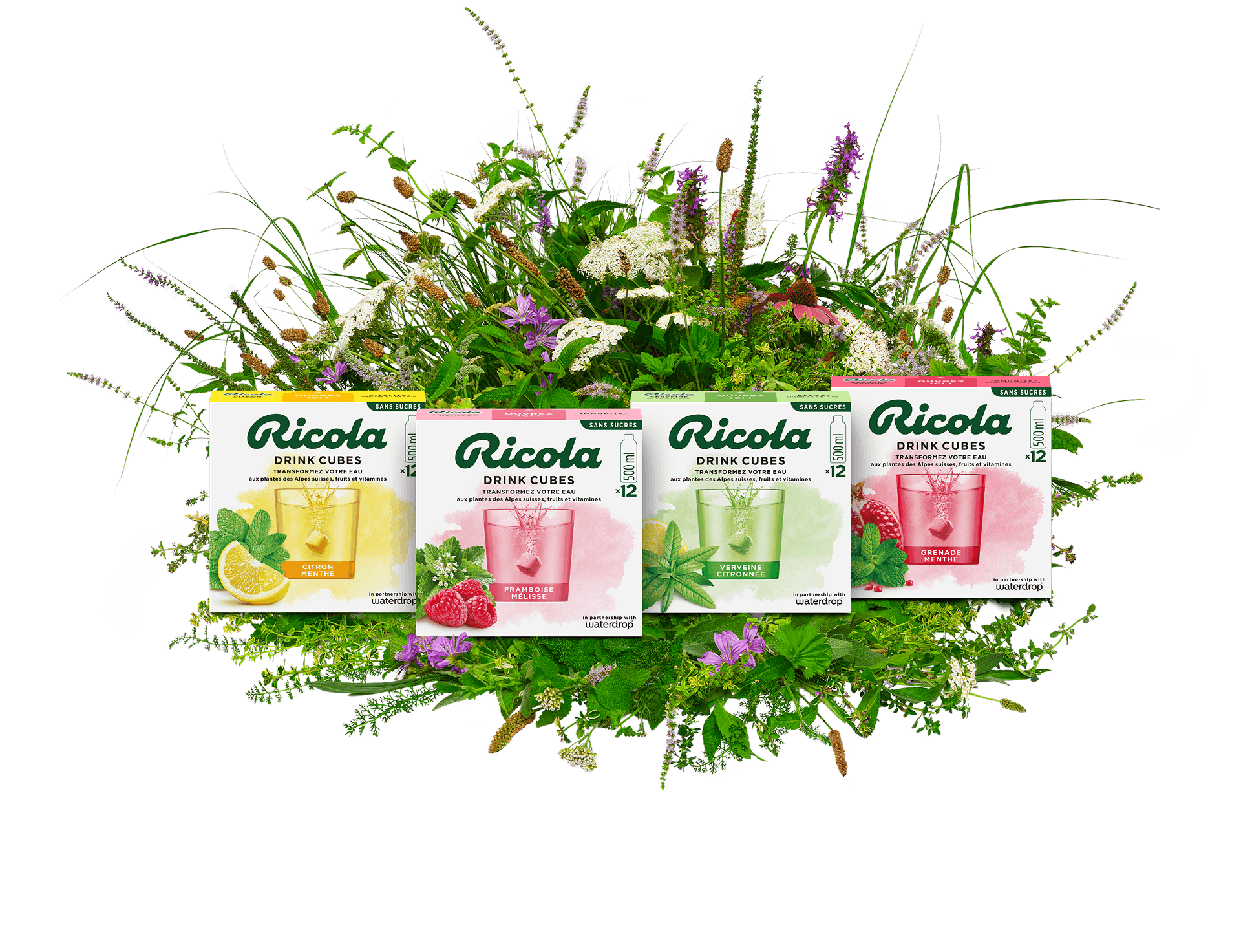 Vier Ricola Drink Cubes-Boxen (Zitrone, Himbeere, Minze, Granatapfel) sind vor einem lebhaften Blumenhintergrund angeordnet.