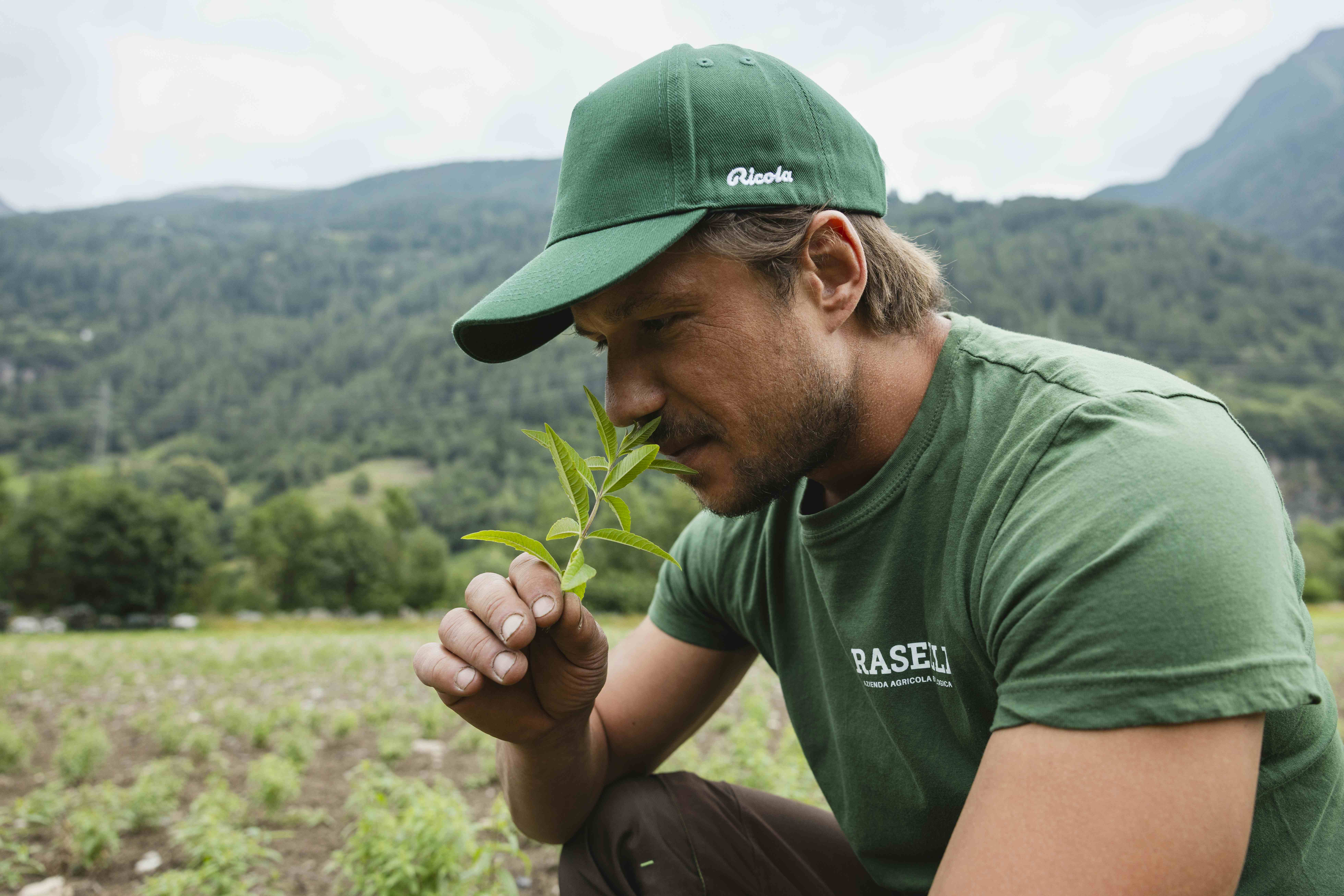 Ein Mann kniet auf einem üppigen Feld und hält eine junge grüne Pflanze vor einer Bergkulisse.