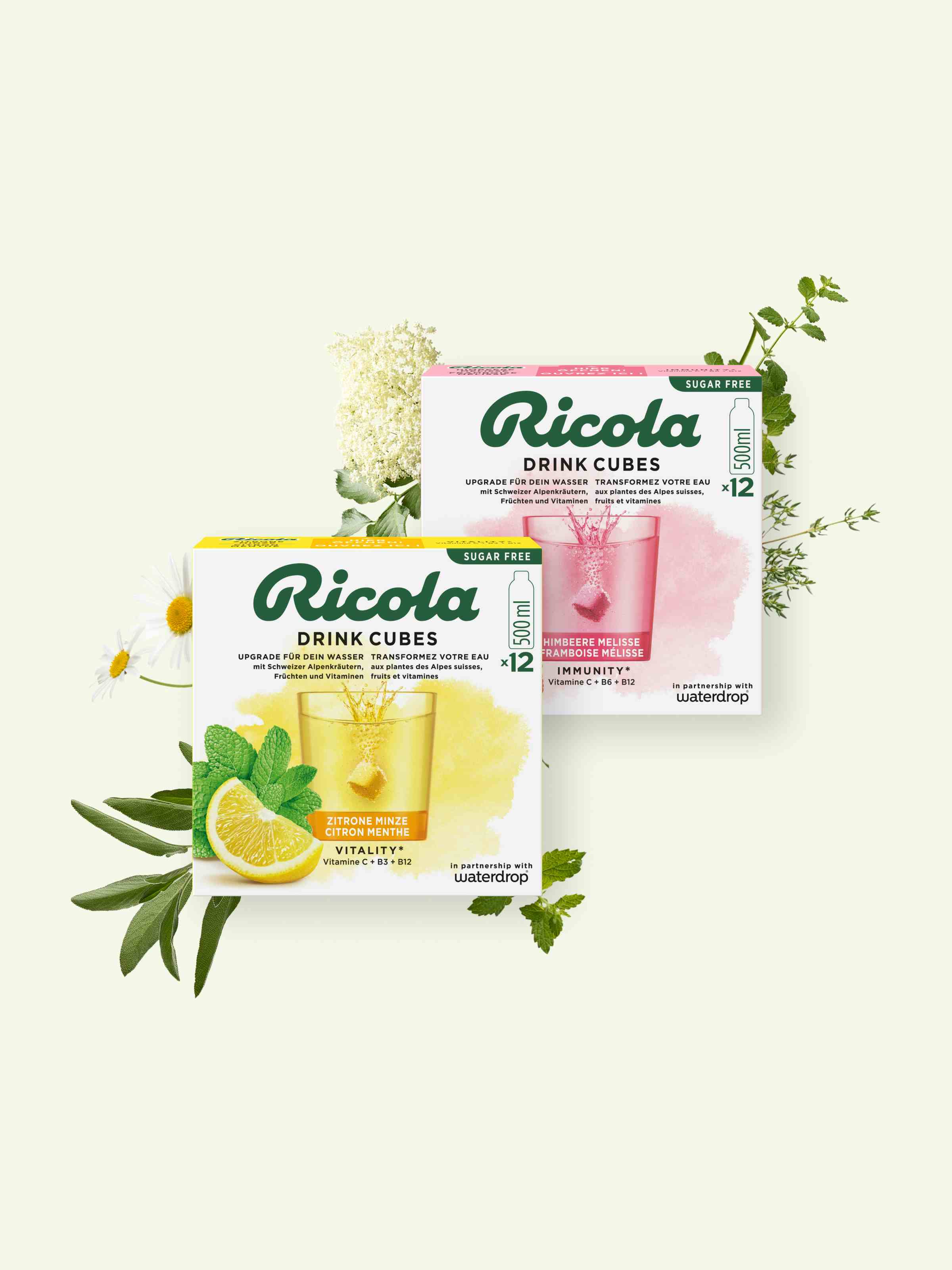 Zwei Schachteln Ricola Drink Cubes sind abgebildet, eine mit Zitronengeschmack und die andere mit Himbeergeschmack, umgeben von Grünpflanzen vor einem hellen Hintergrund.