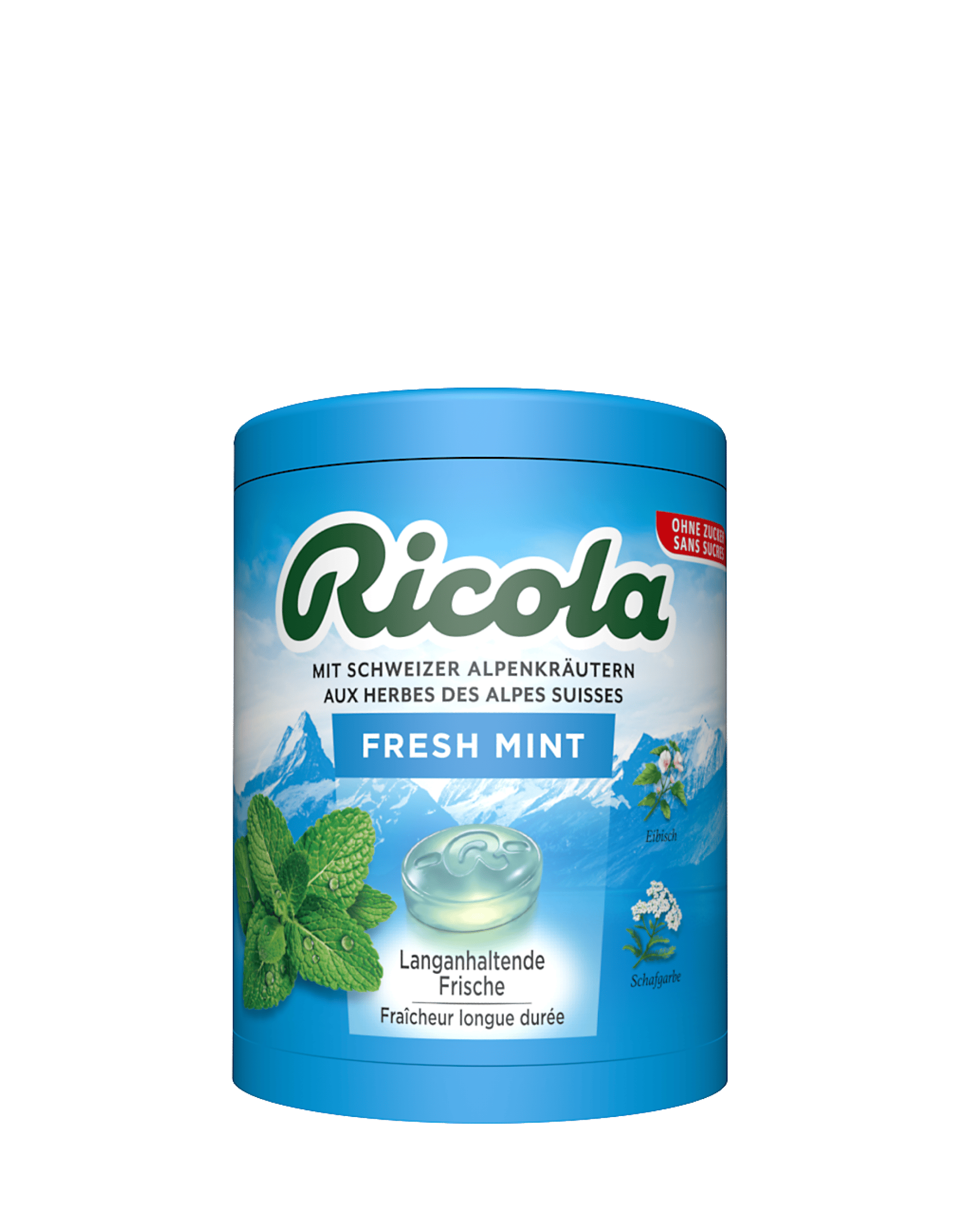 Fresh Mint