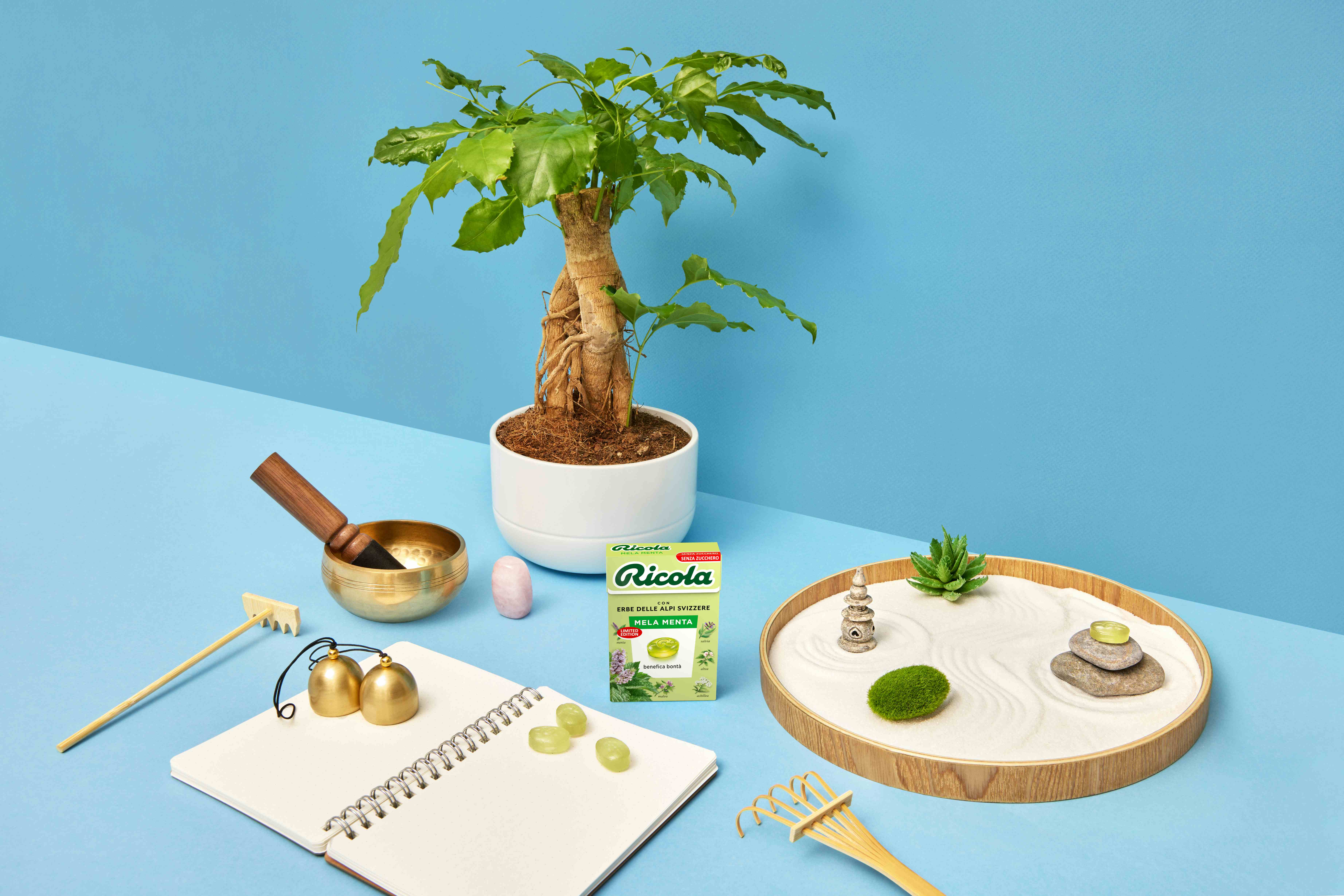 Giardino zen con confezione di caramelle alla menta mela.