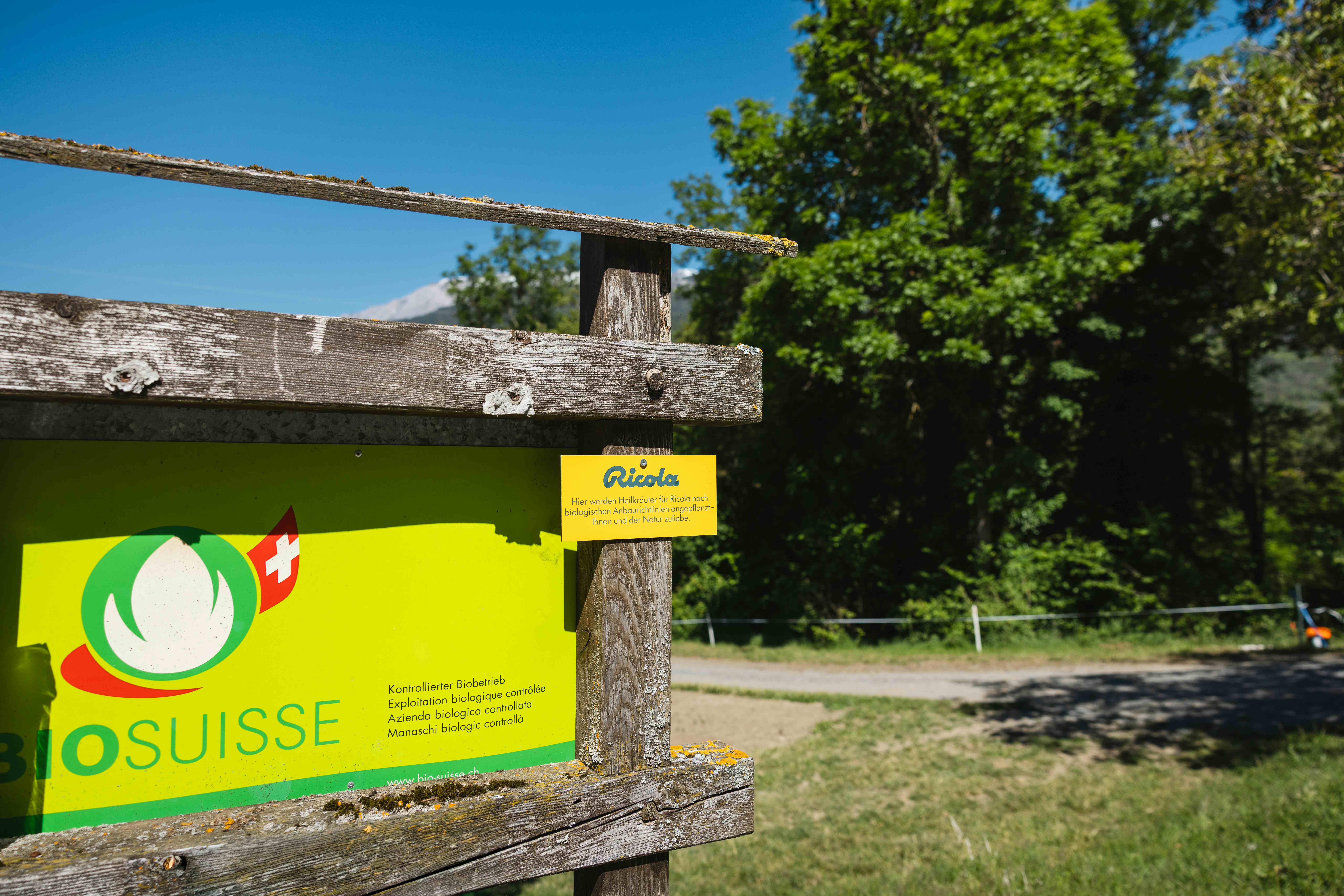 A weathered wooden sign displaying a Bio Suisse logo and a smaller yellow Ricola tag in a sunny rural setting.