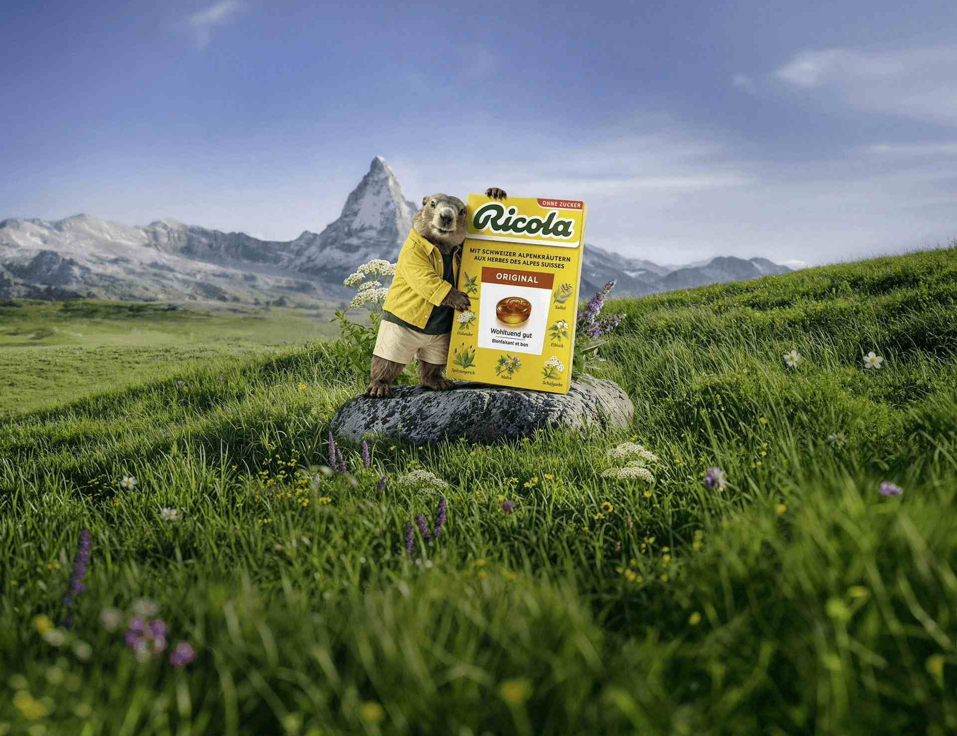 Ein Murmeltier in gelber Jacke steht auf einem Felsen in einer Alpwiese und hält eine große gelbe Ricola Original Packung vor dem Matterhorn.