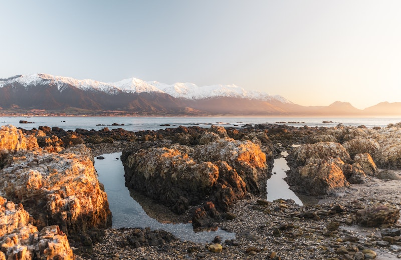 Rockpool on Kaikoura coast