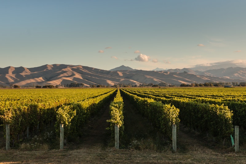 Wine tours