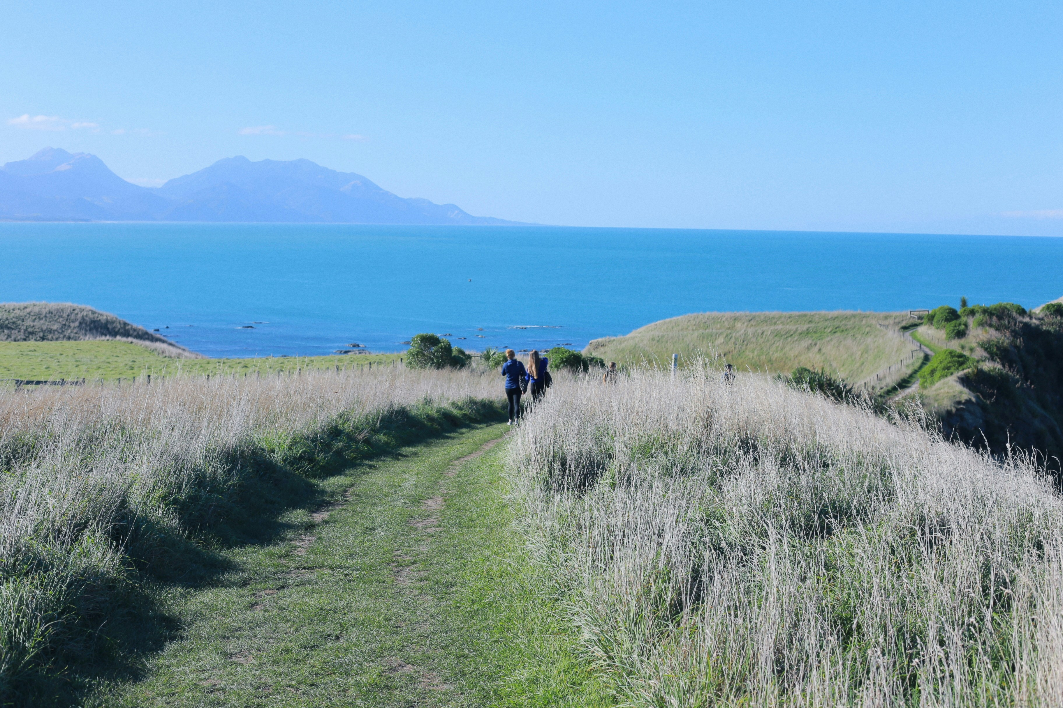 explore-kaikoura-mangumaunu-retreat