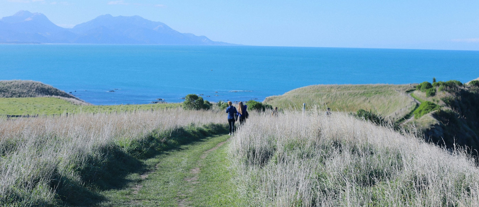 Explore Kaikoura Mangumaunu Retreat explore-kaikoura-mangumaunu-retreat