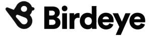 Birdeye logo