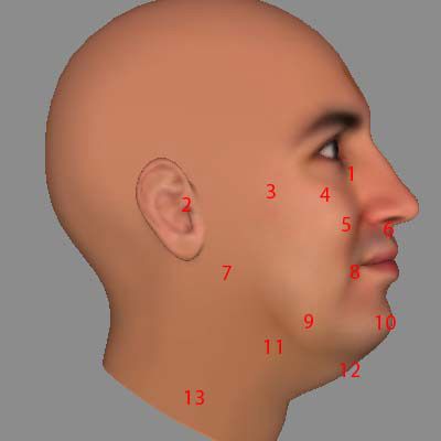 Face diagram 