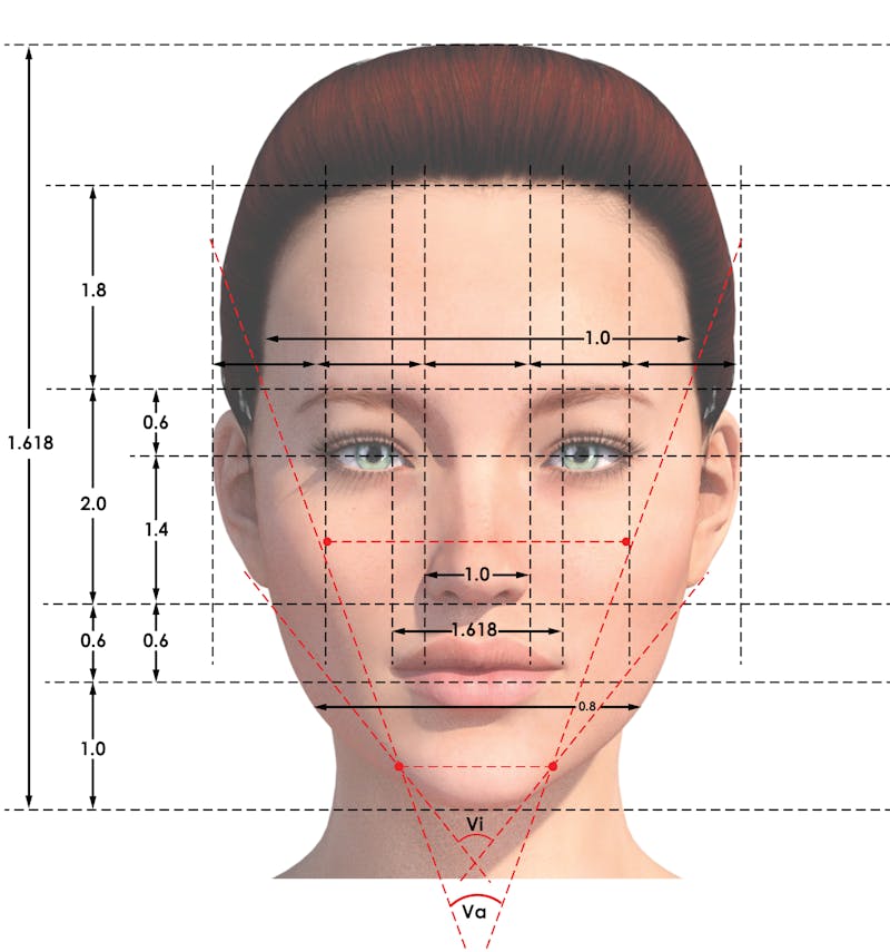 A diagram of a woman's face