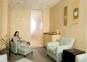 Faifer Article - figure 2