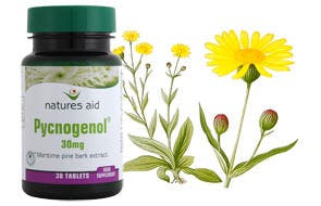 Preventing a Bruising: Supplements | Chicago Preventing a Bruising: Supplements | Chicago