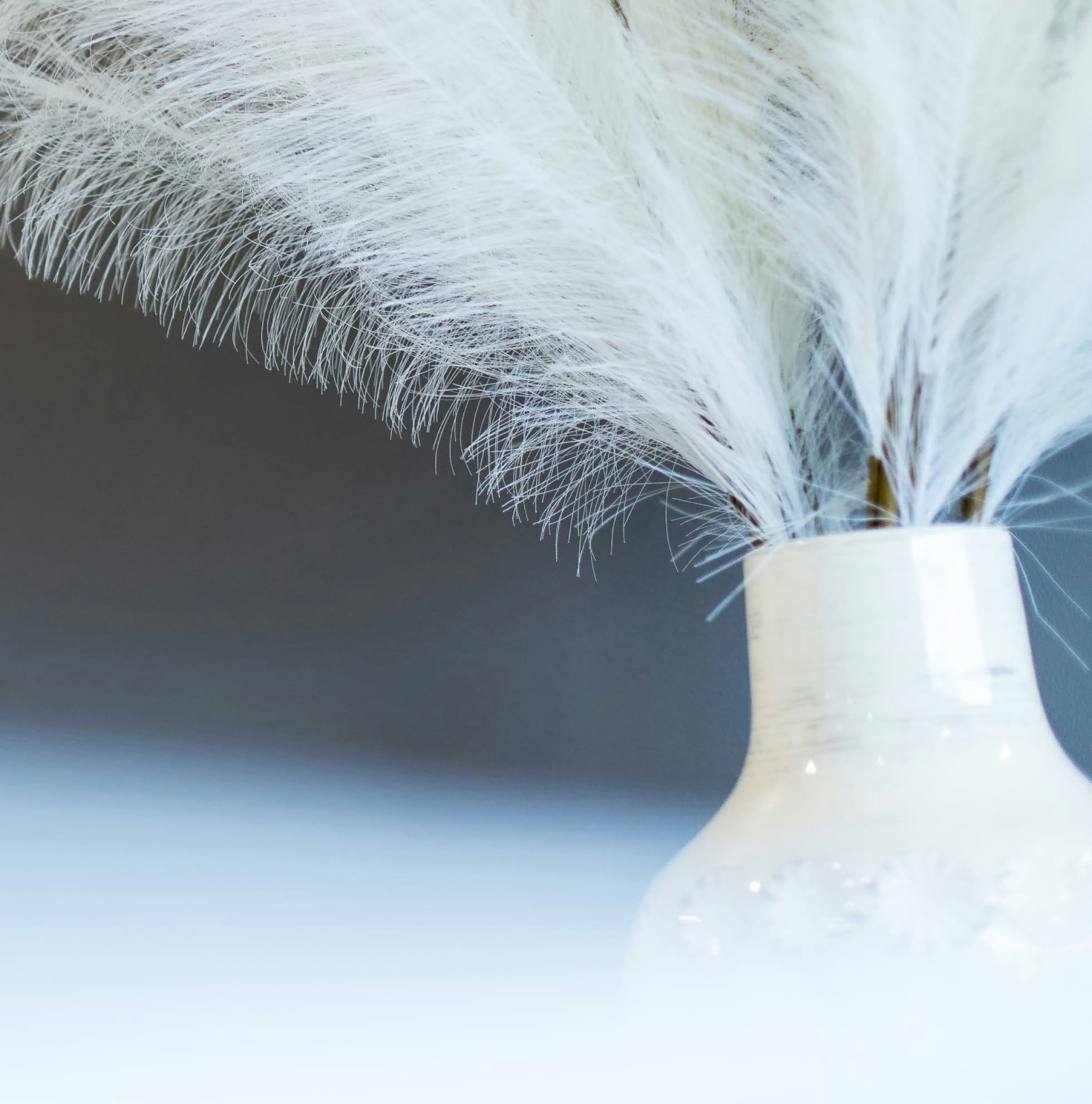 Close-up of a vase with feathers
